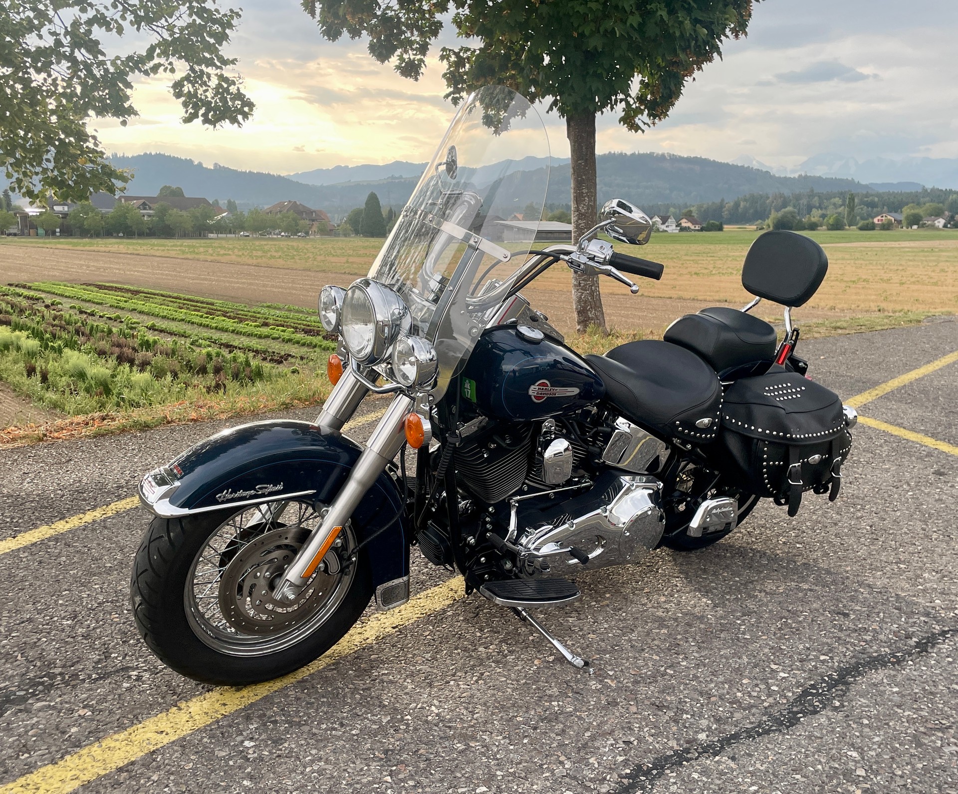 HARLEY-DAVIDSON FLSTCI Softail Classic-image-3