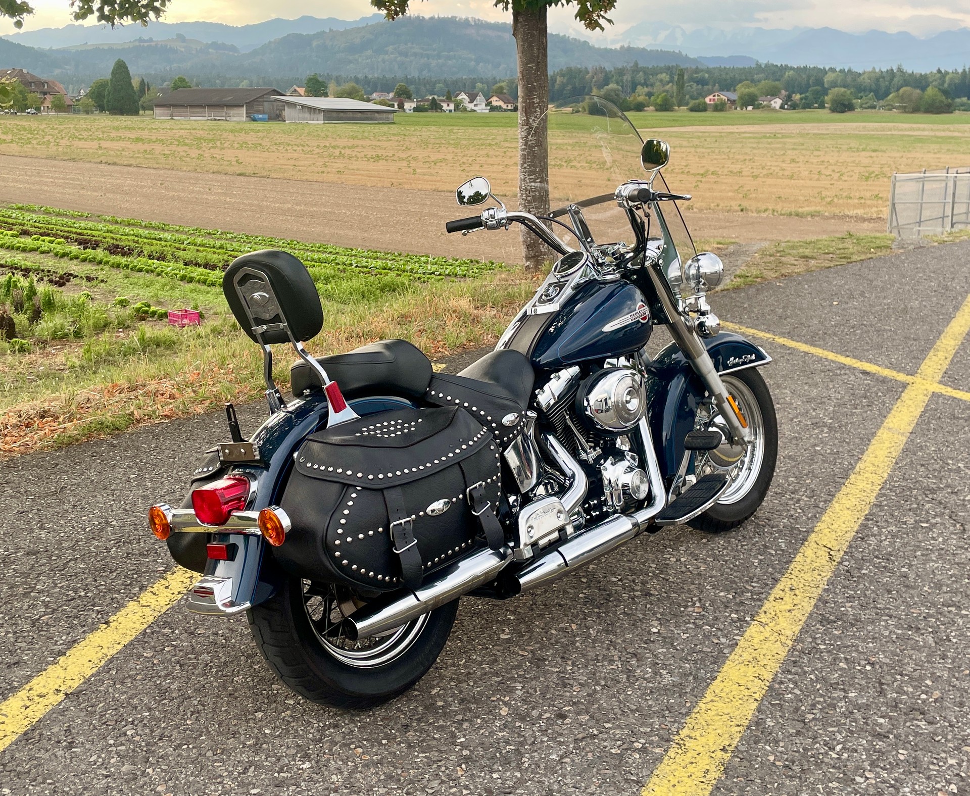 HARLEY-DAVIDSON FLSTCI Softail Classic-image-1