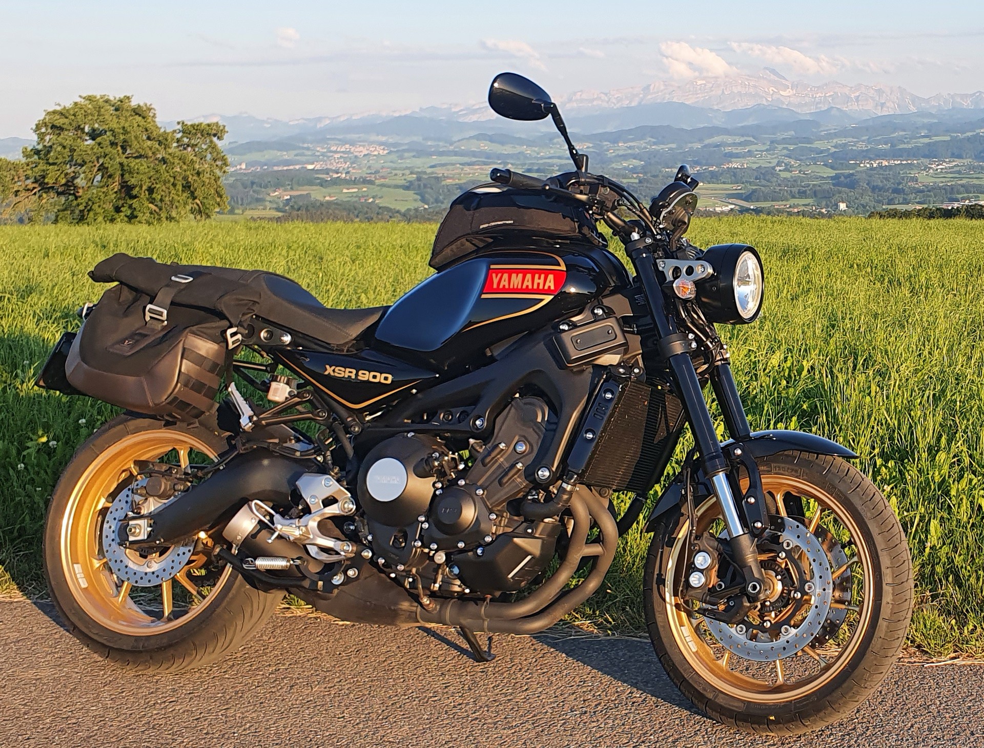 YAMAHA XSR 900 80 Black-image-3
