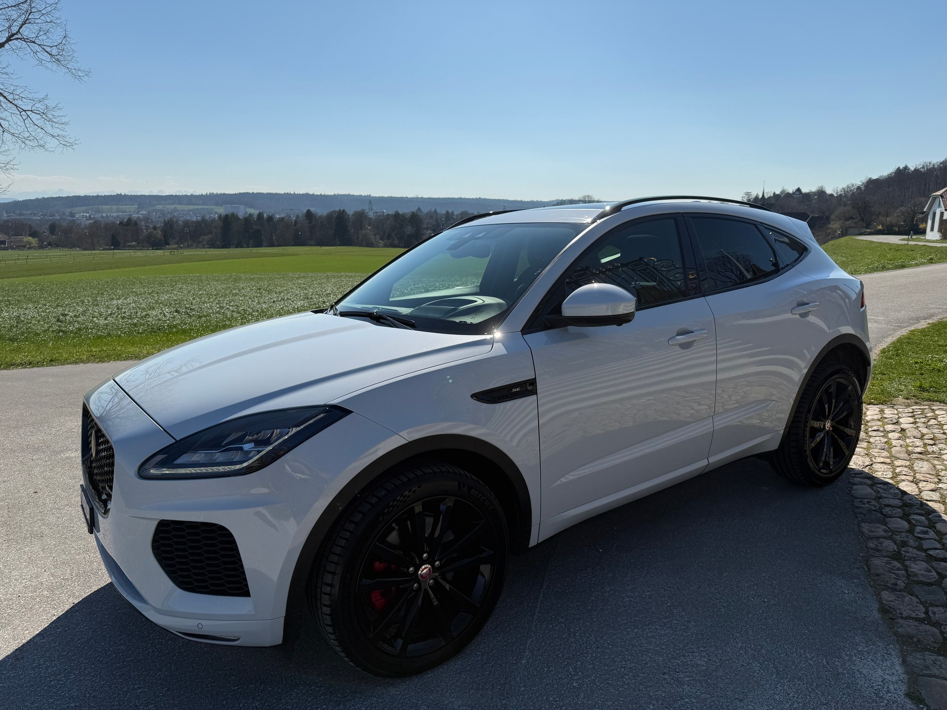 JAGUAR E-Pace 2.0 P250 R-Dynamic SE AWD Automatik-image-10