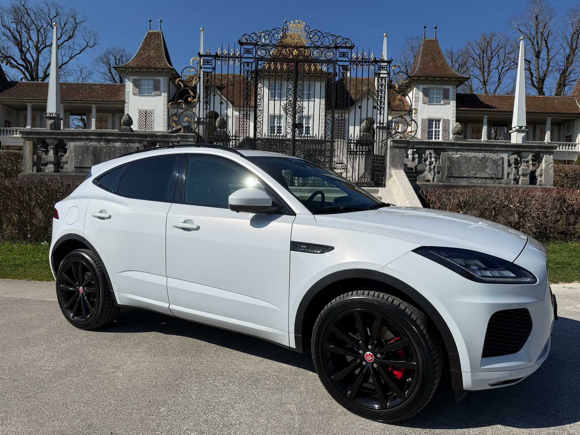 JAGUAR E-Pace 2.0 P250 R-Dynamic SE AWD Automatik-showroom-element-1