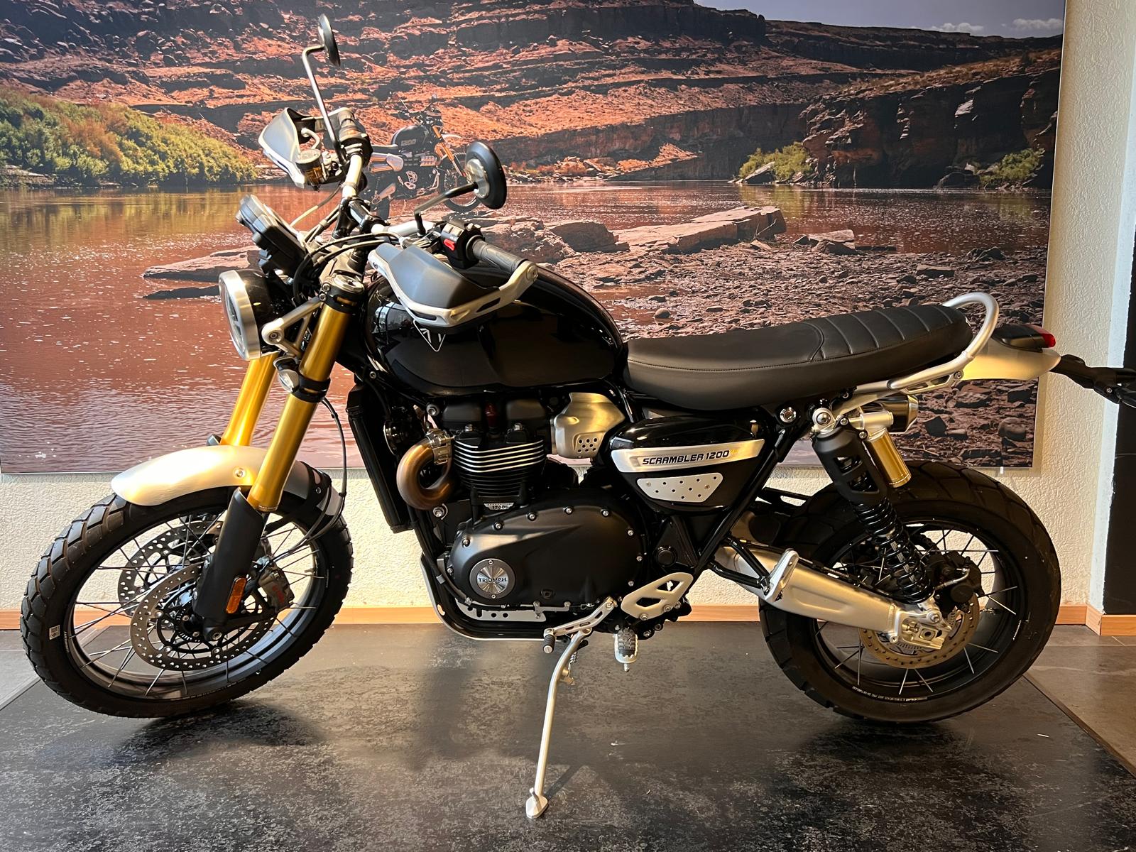 TRIUMPH Scrambler 1200 XE-image-3