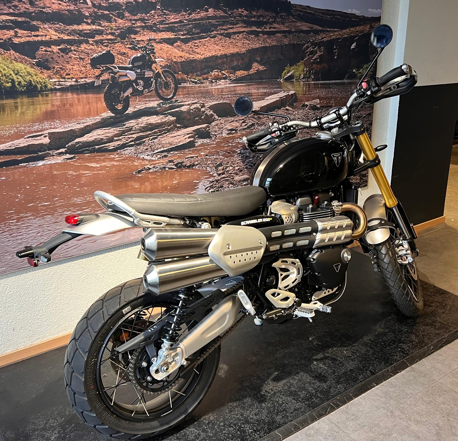 TRIUMPH Scrambler 1200 XE-image-5