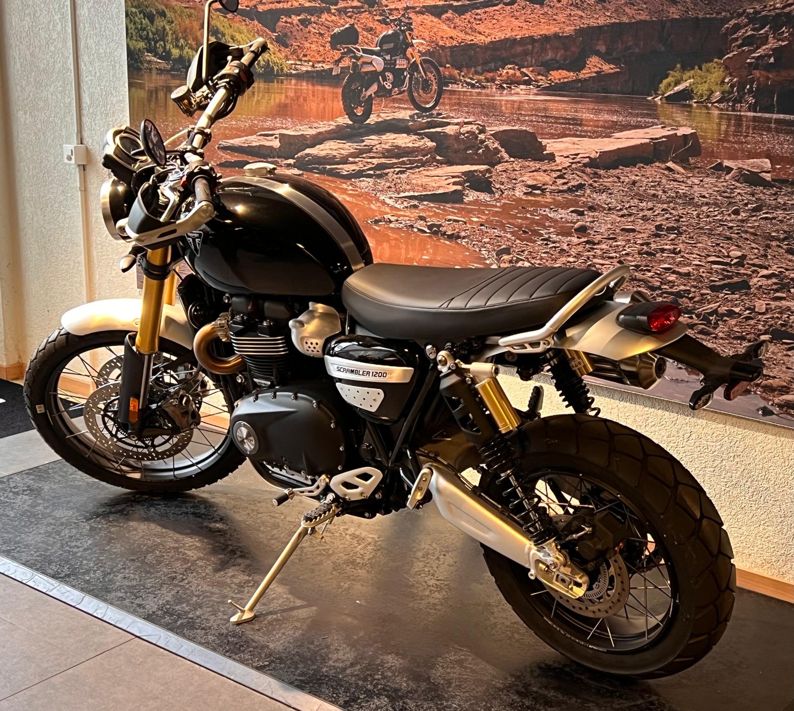 TRIUMPH Scrambler 1200 XE-image-4