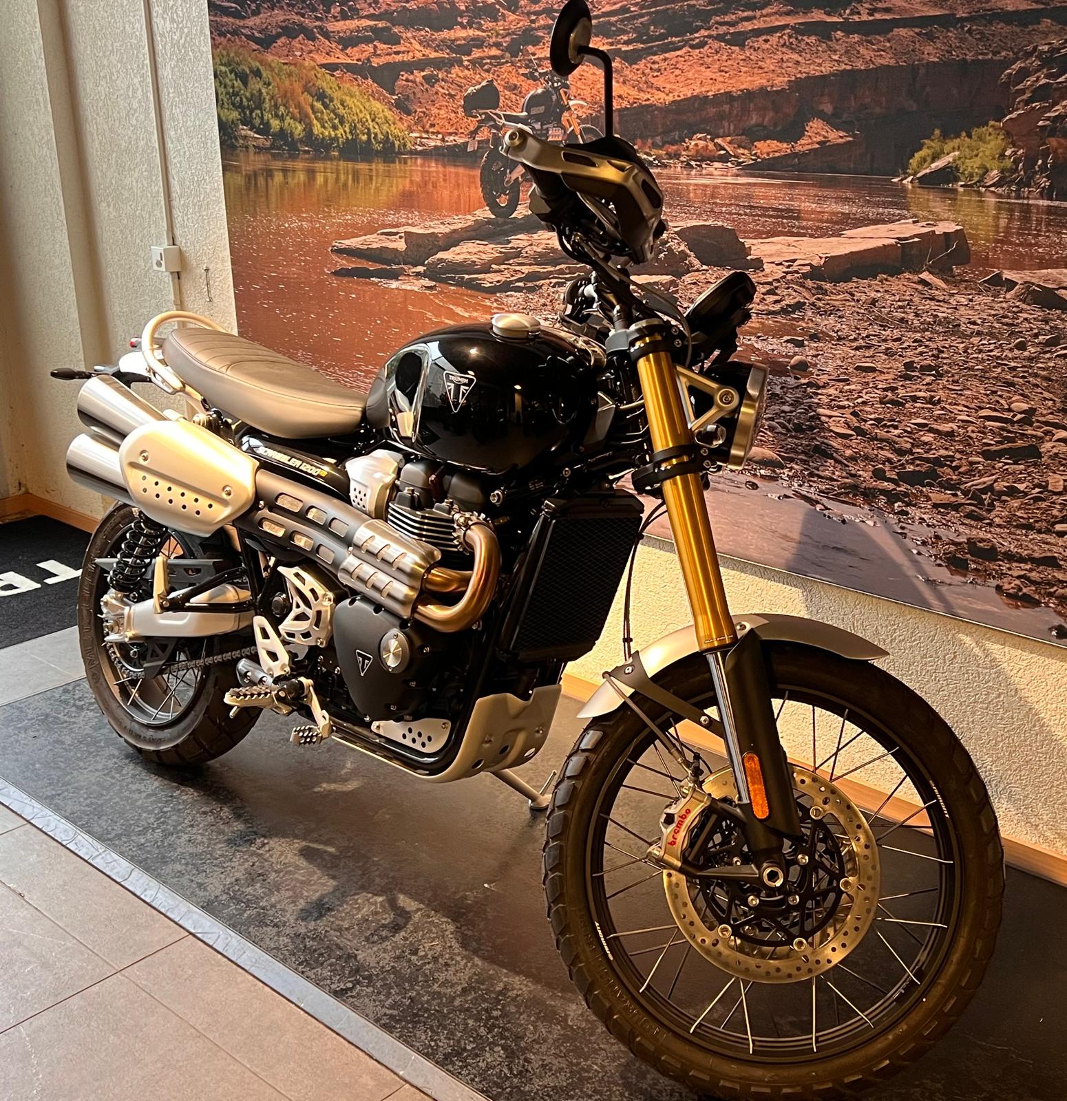TRIUMPH Scrambler 1200 XE-image-1