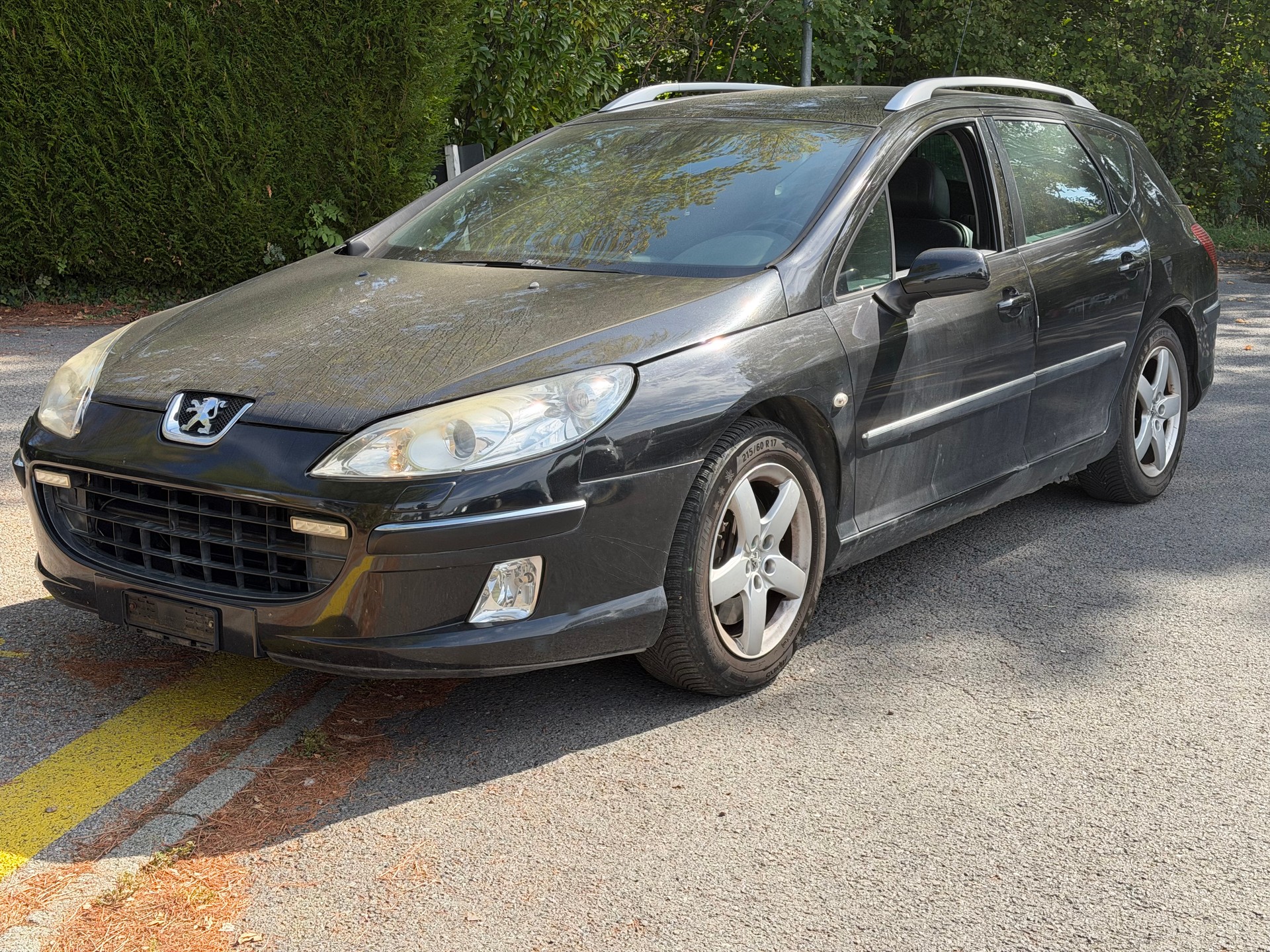 PEUGEOT 407 SW 2.2 SV Executive