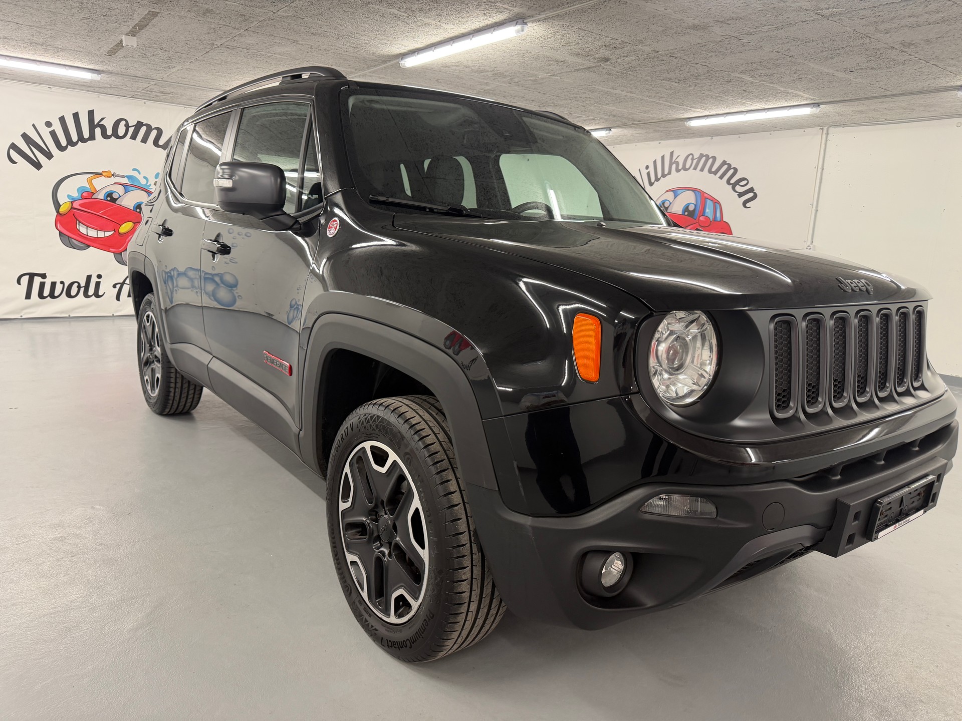 JEEP Renegade 2.0 CRD Trailhawk AWD + Low Range 9ATX-showroom-element-1