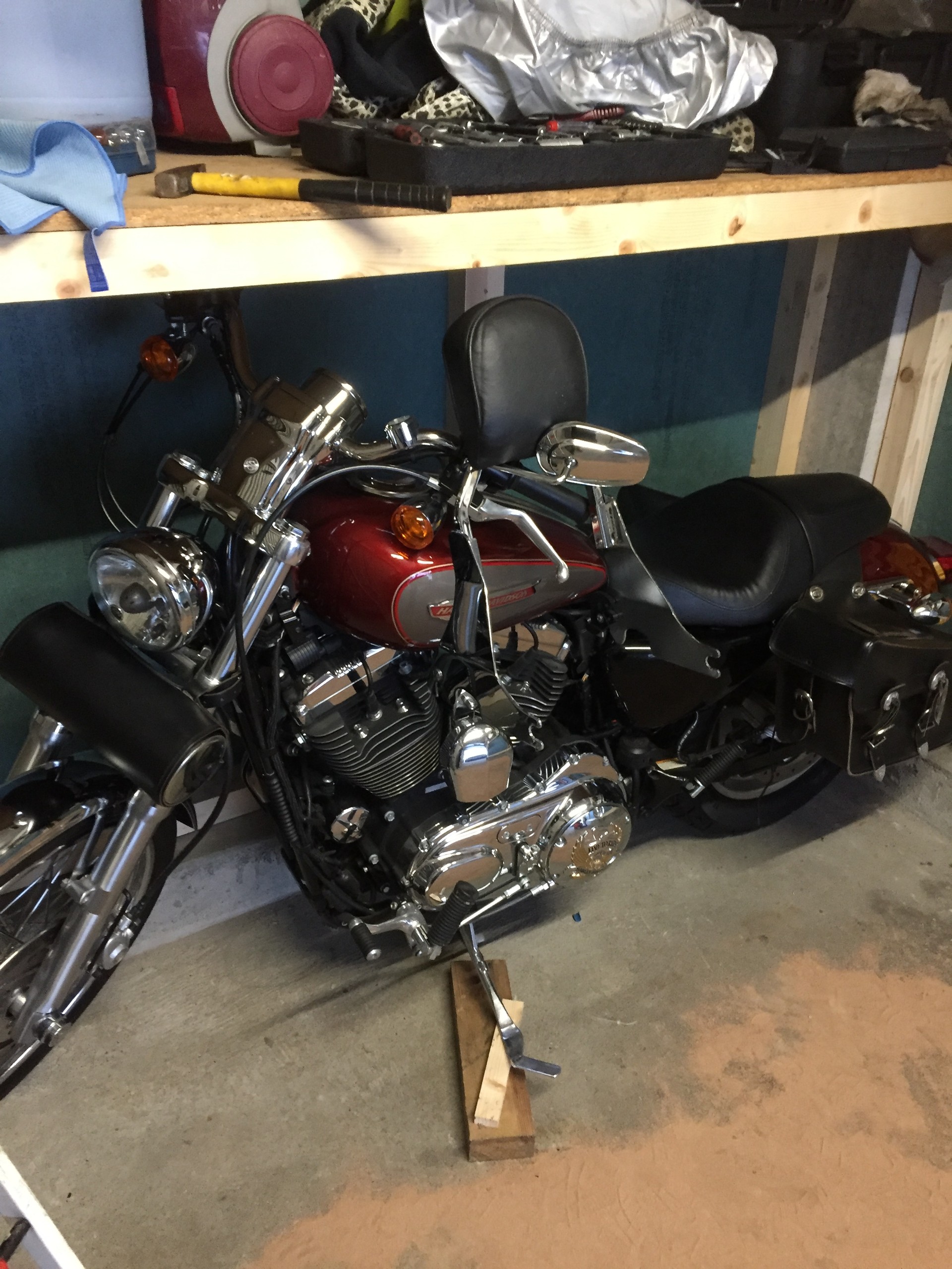 HARLEY-DAVIDSON XL 1200 C Sportster Custom Injection-image-5