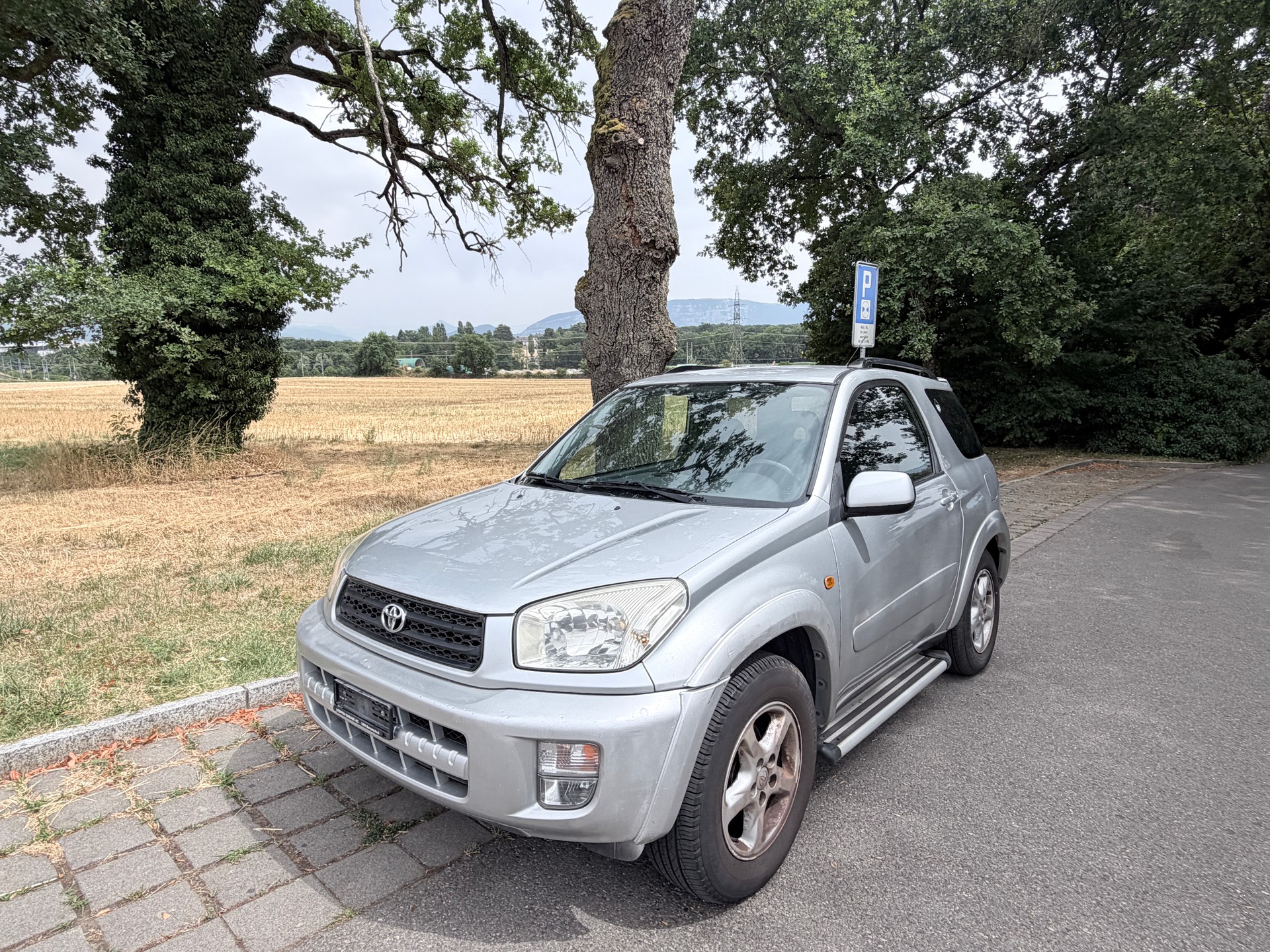 TOYOTA RAV-4 2.0 16V Linea Terra-showroom-element-1