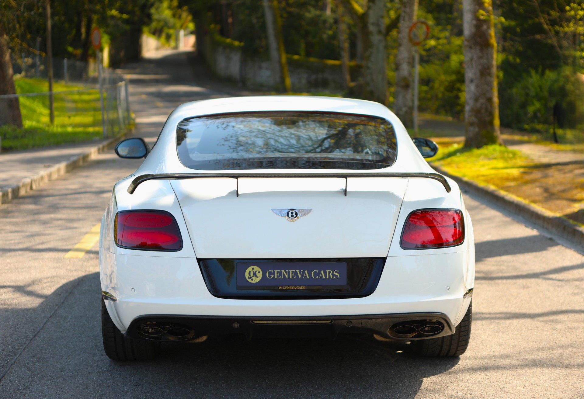 BENTLEY Continental GT3-R ( 1 of 300 )-image-14
