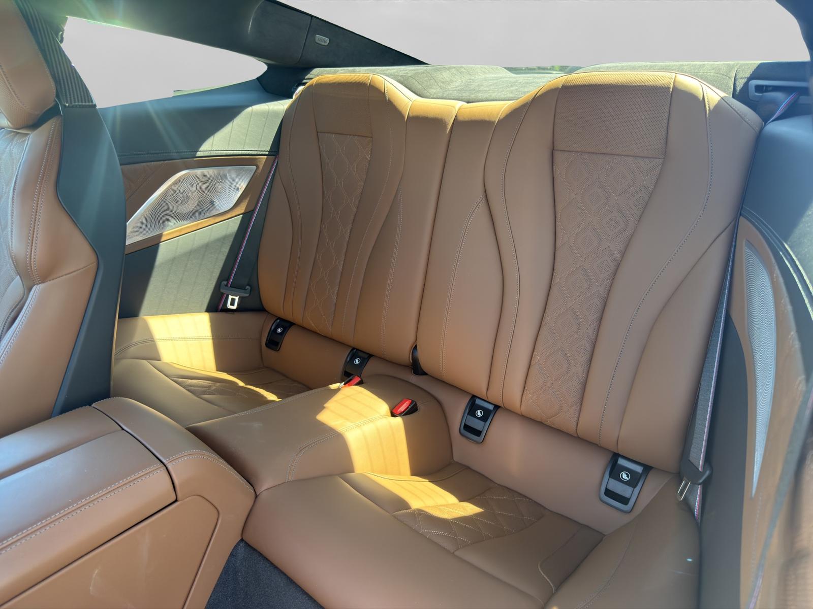 BMW M8 xDrive Steptronic-image-13