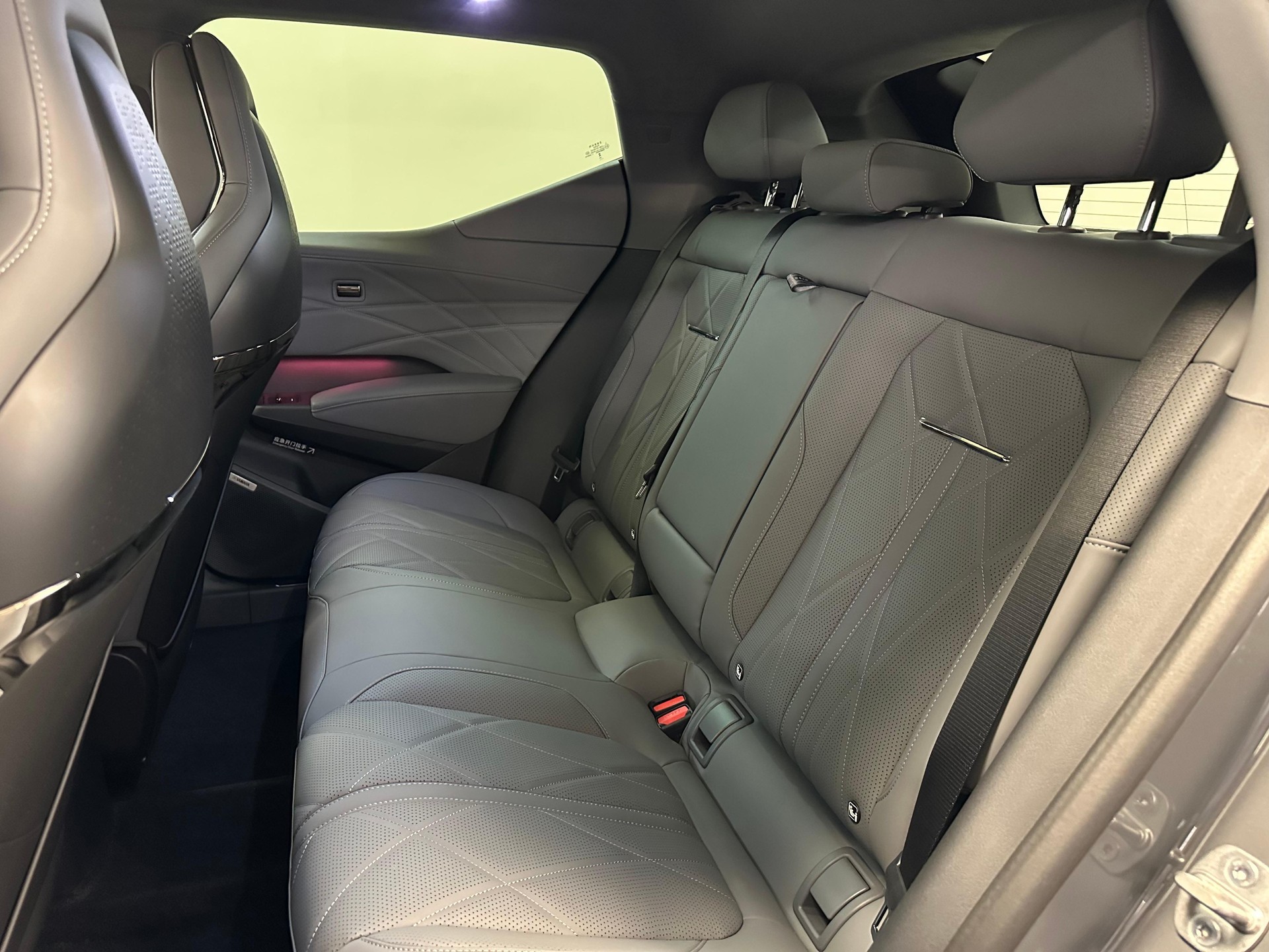 ZEEKR X Privilege AWD-image-9