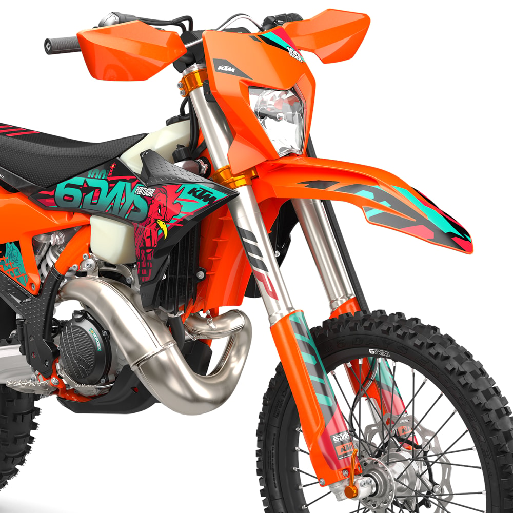 KTM KTM 300 EXC 6DAYS 2027-image-2