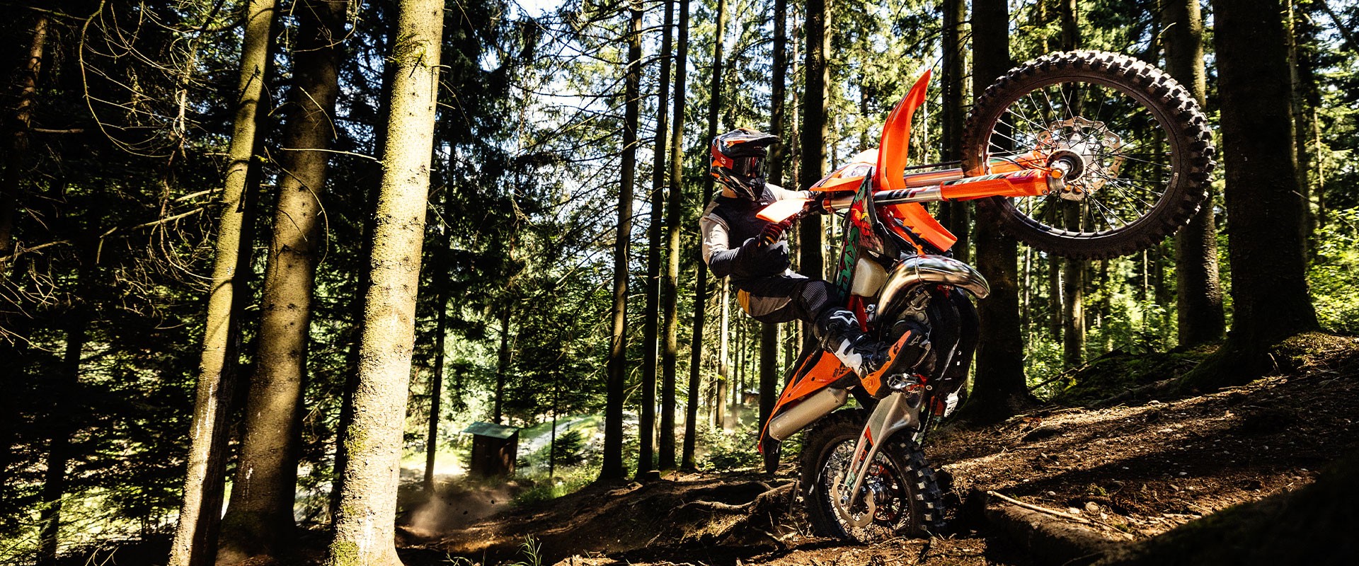 KTM KTM 300 EXC 6DAYS 2027-image-8