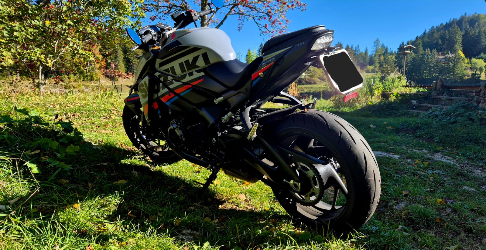 SUZUKI GSX-S 1000 EVO-image-4