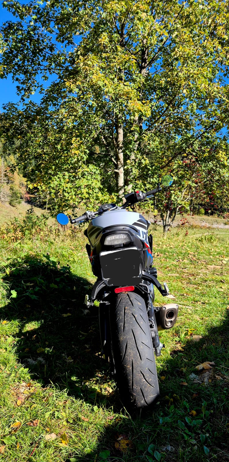 SUZUKI GSX-S 1000 EVO-image-3