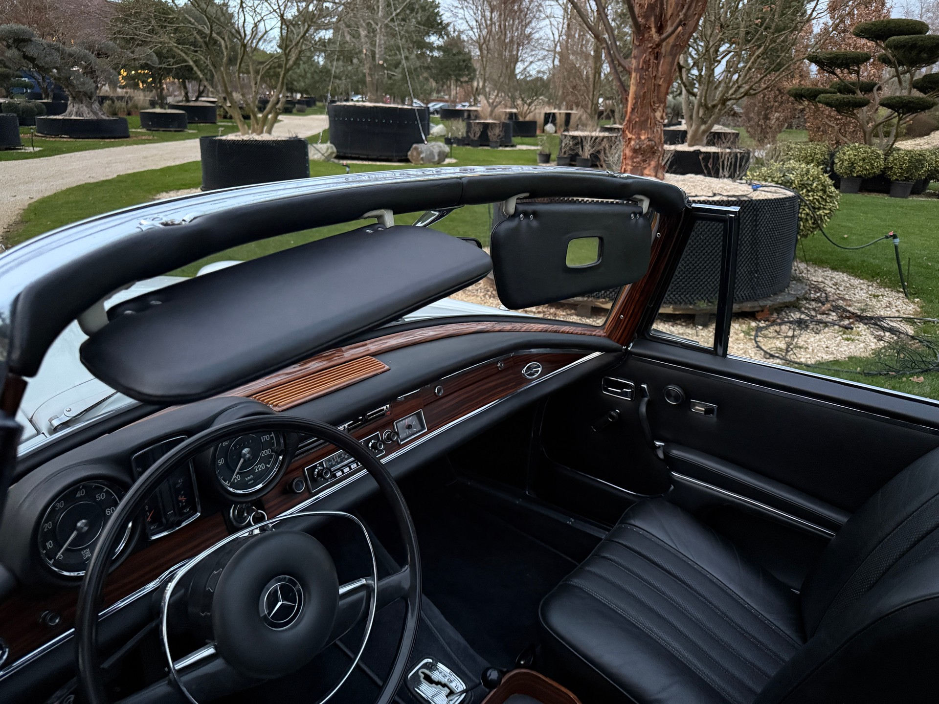 MERCEDES-BENZ 280 SE-image-9