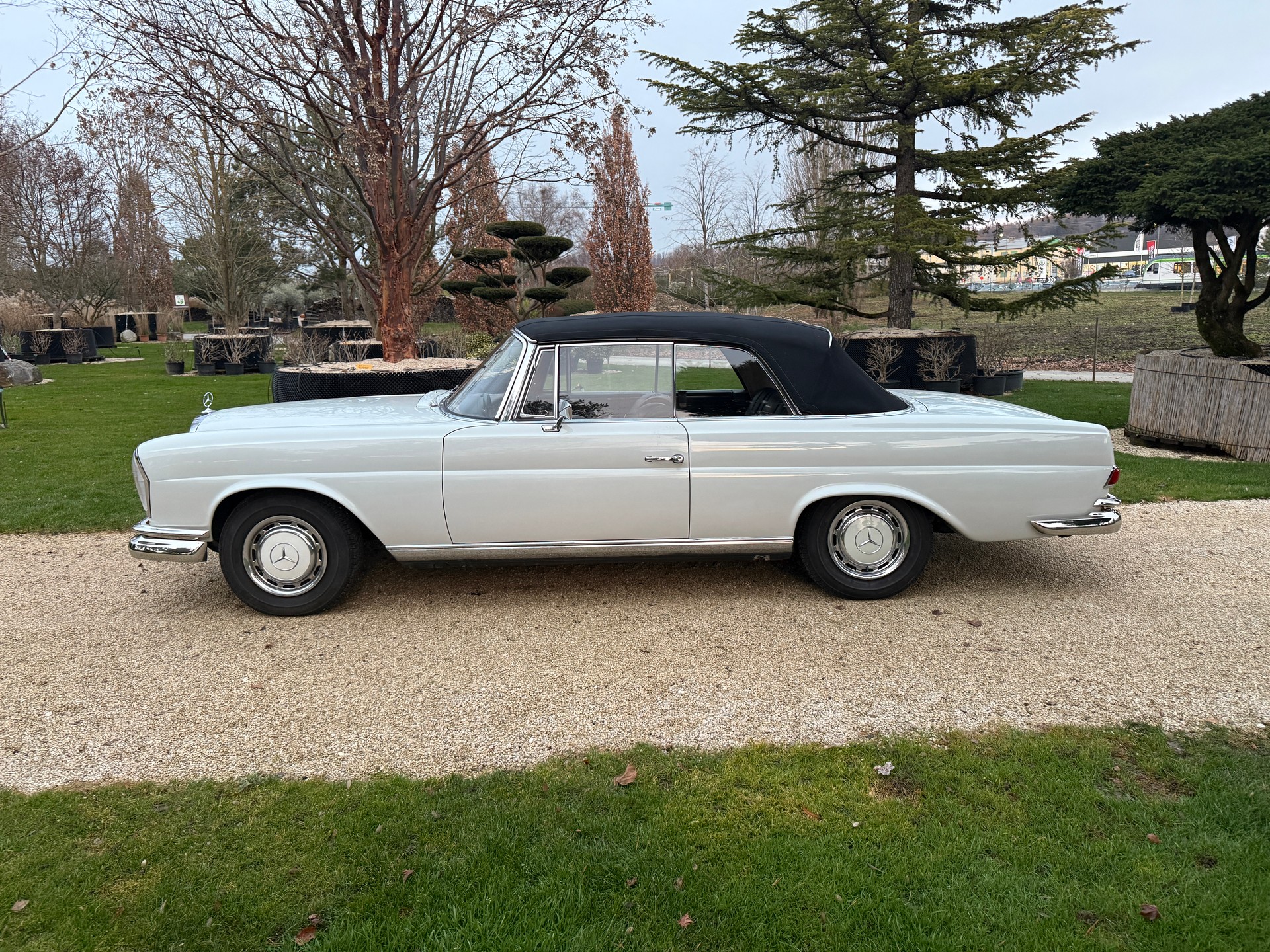 MERCEDES-BENZ 280 SE-image-18