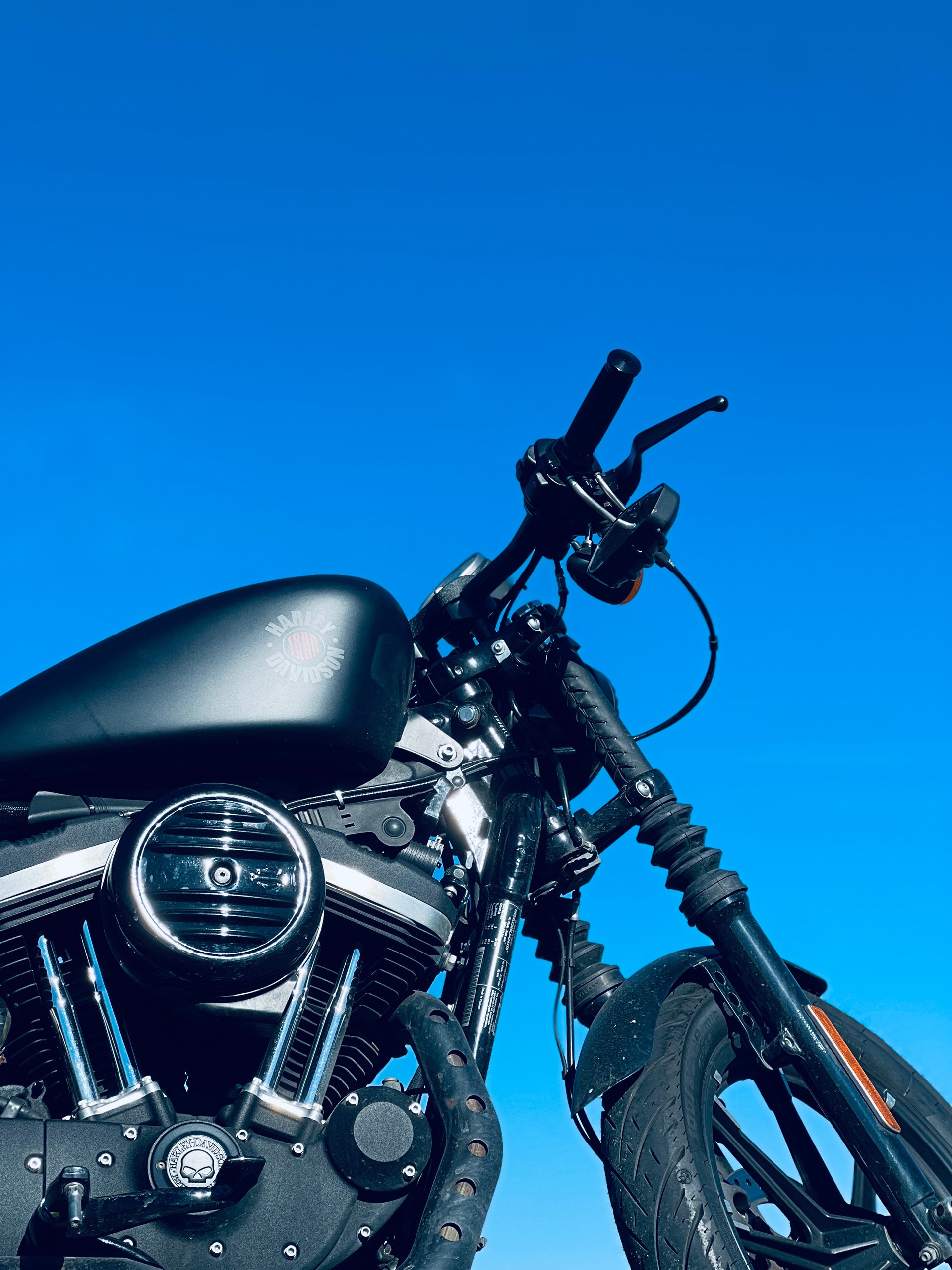 HARLEY-DAVIDSON XL 883 N Sportster Iron ABS 32kW-image-2