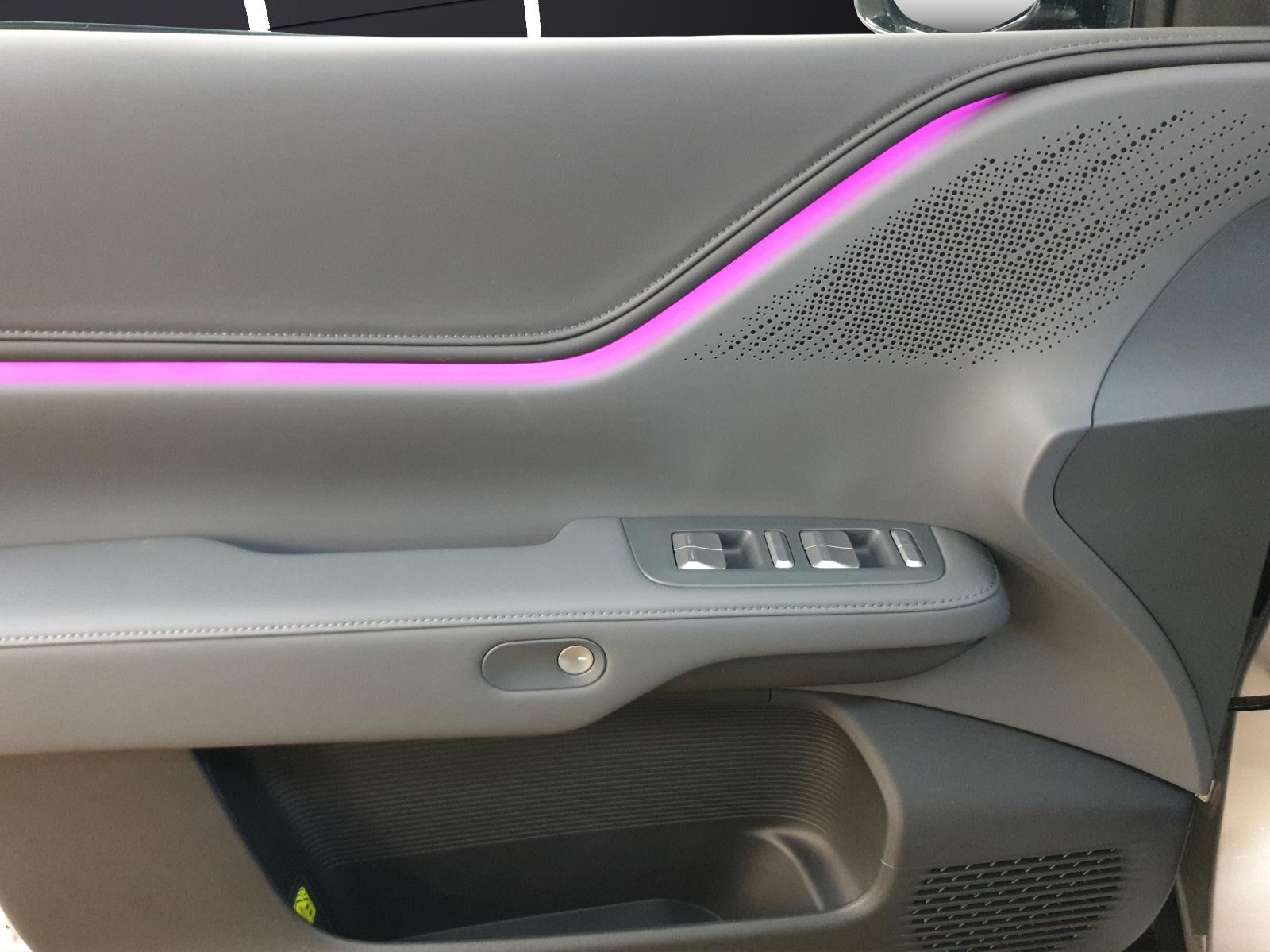 XPENG G6 Performance AWD-image-9