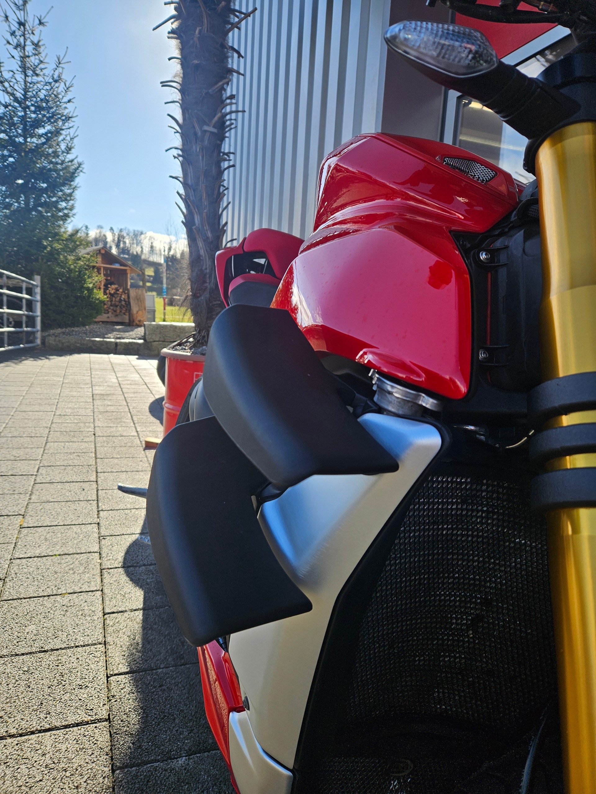 DUCATI Streetfighter V4 S-image-8