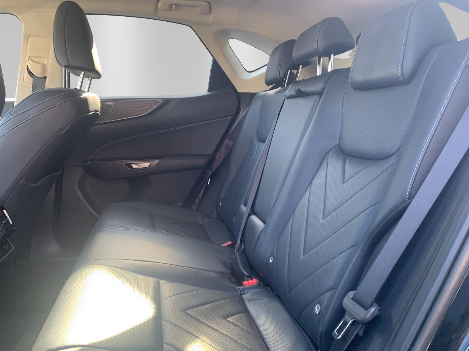LEXUS NX 450h+ Excellence-image-11
