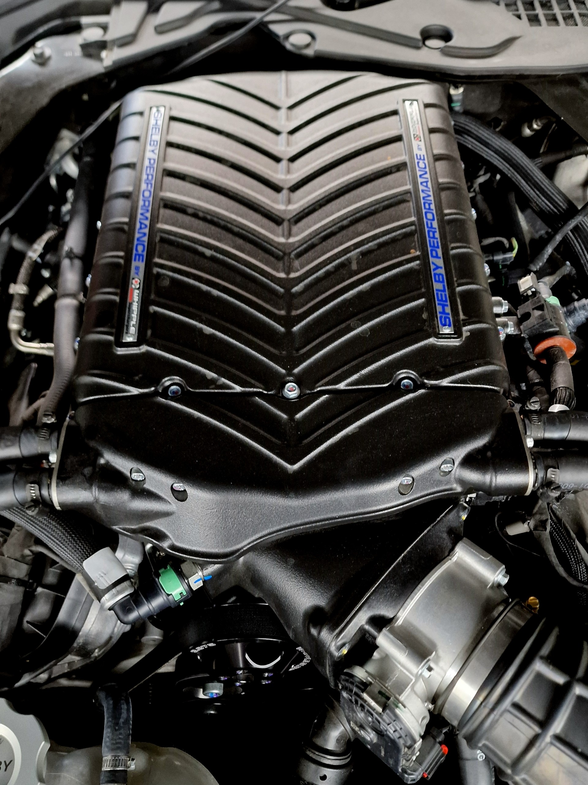 FORD Mustang GT Carroll Shelby Centennial Edition-image-12
