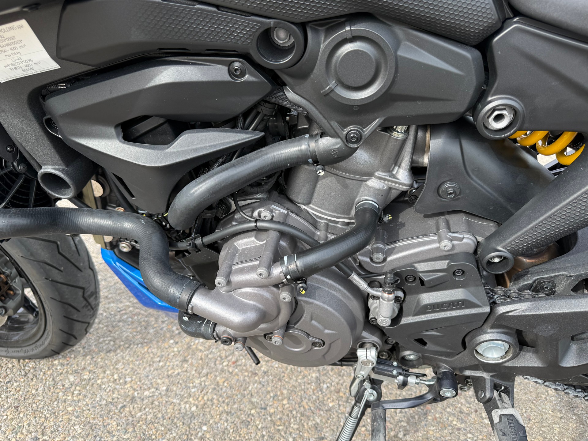 DUCATI Monster + 937 (25KW)-image-9