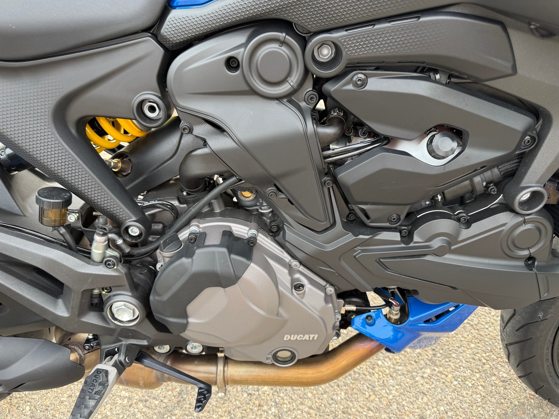 DUCATI Monster + 937 (25KW)-image-10