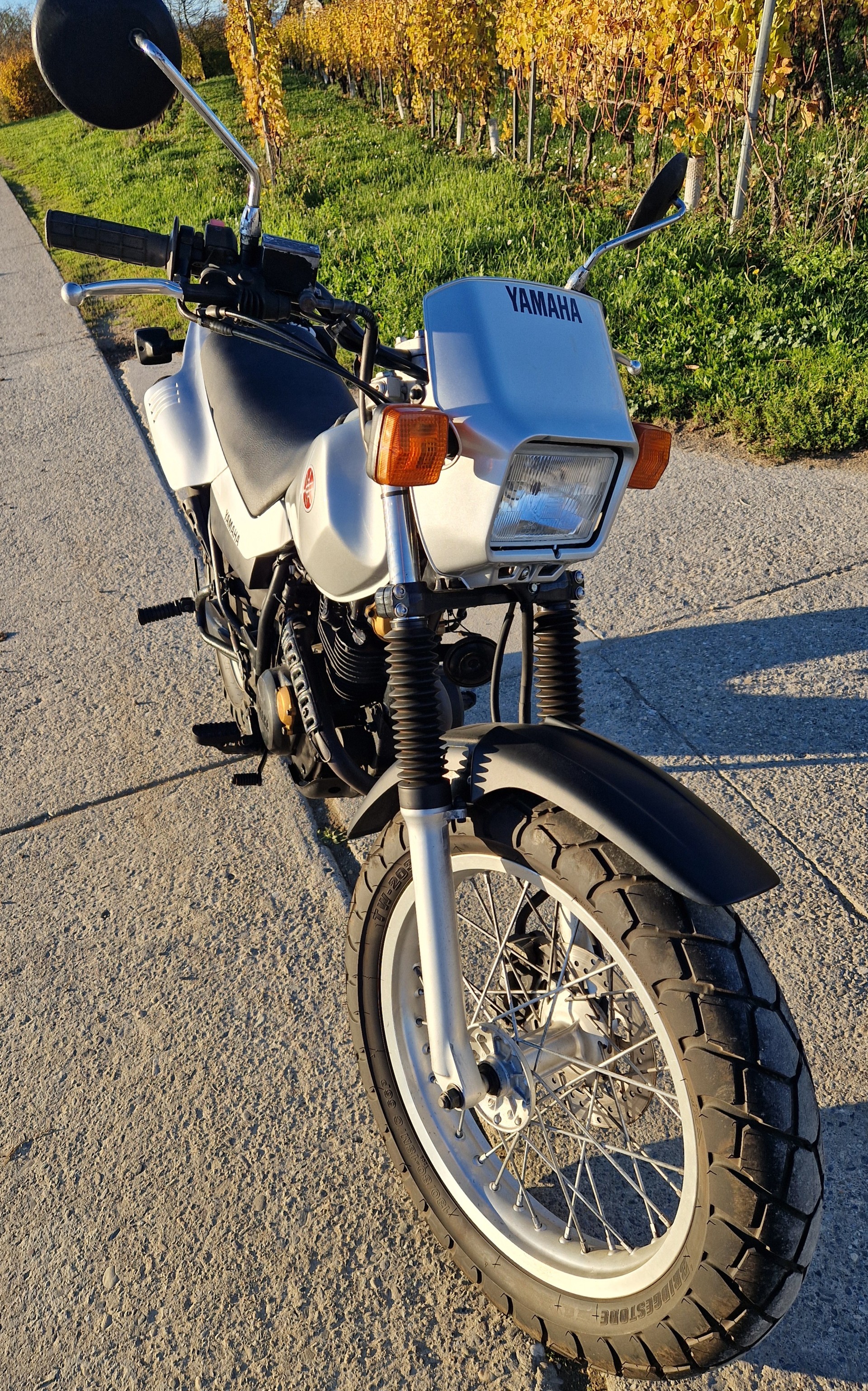 YAMAHA TW 125-image-2