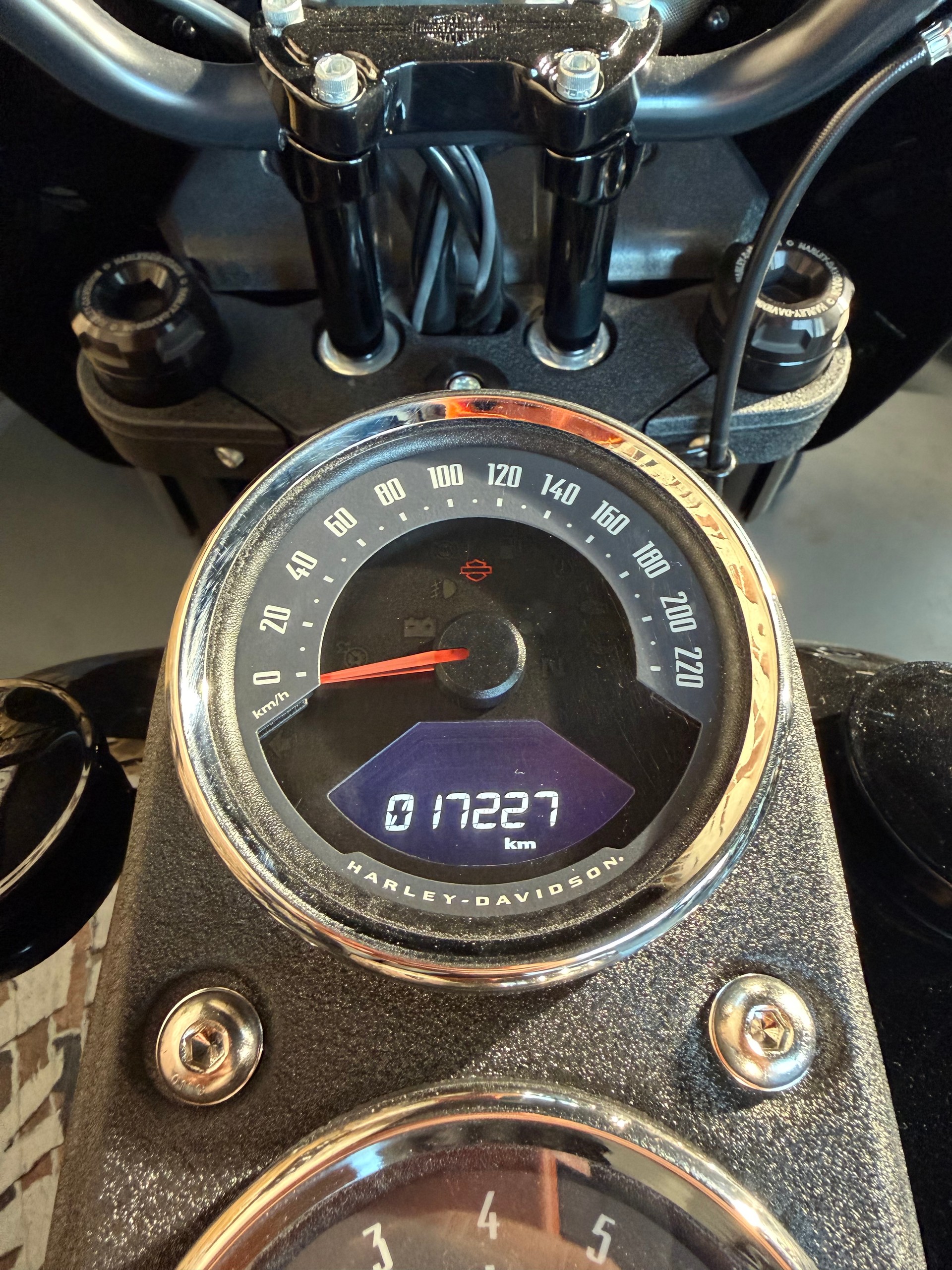 HARLEY-DAVIDSON FXLRS Low Rider S 114 ABS-image-12