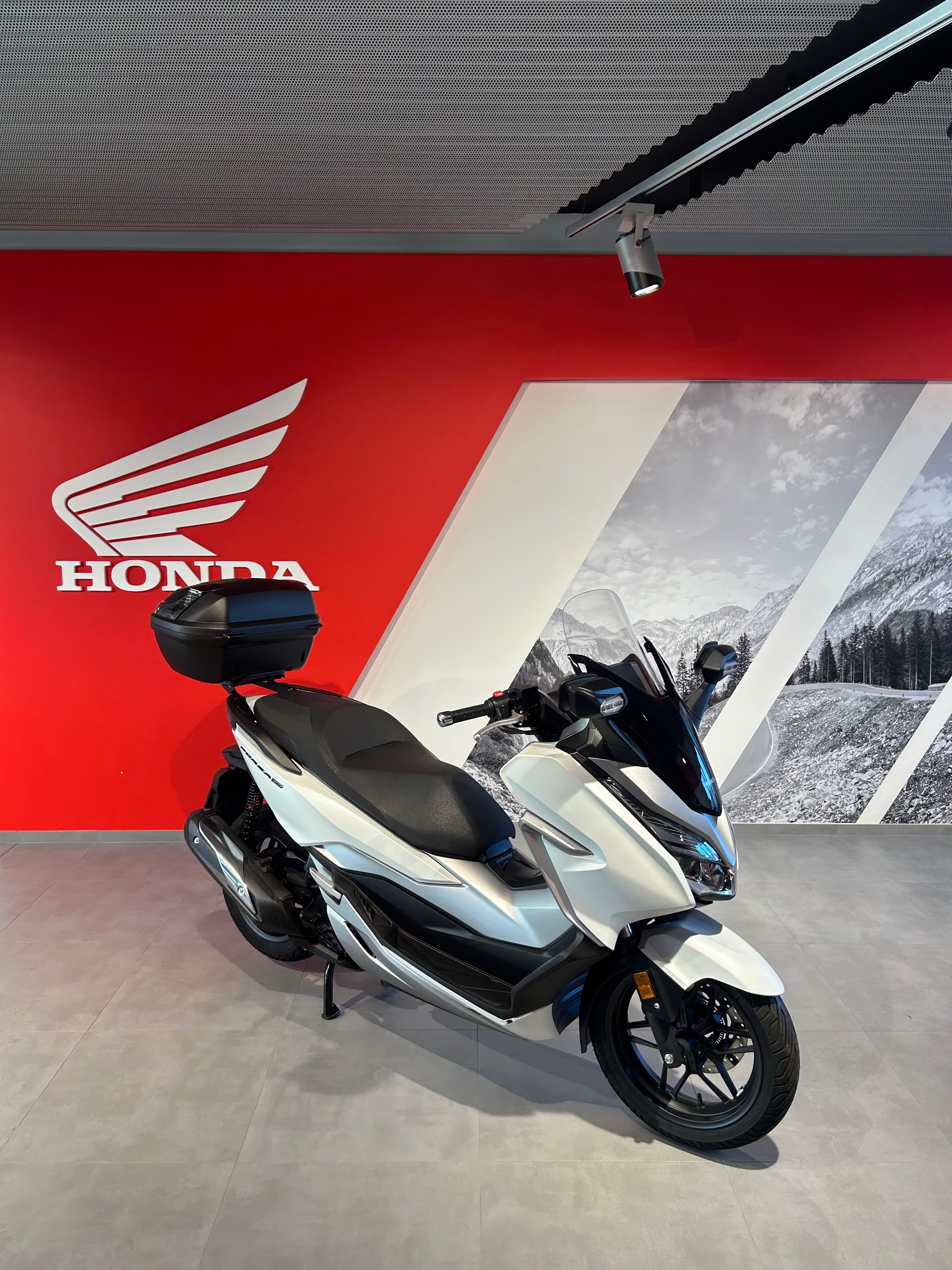 HONDA NSS 300 Forza ABS-image-6