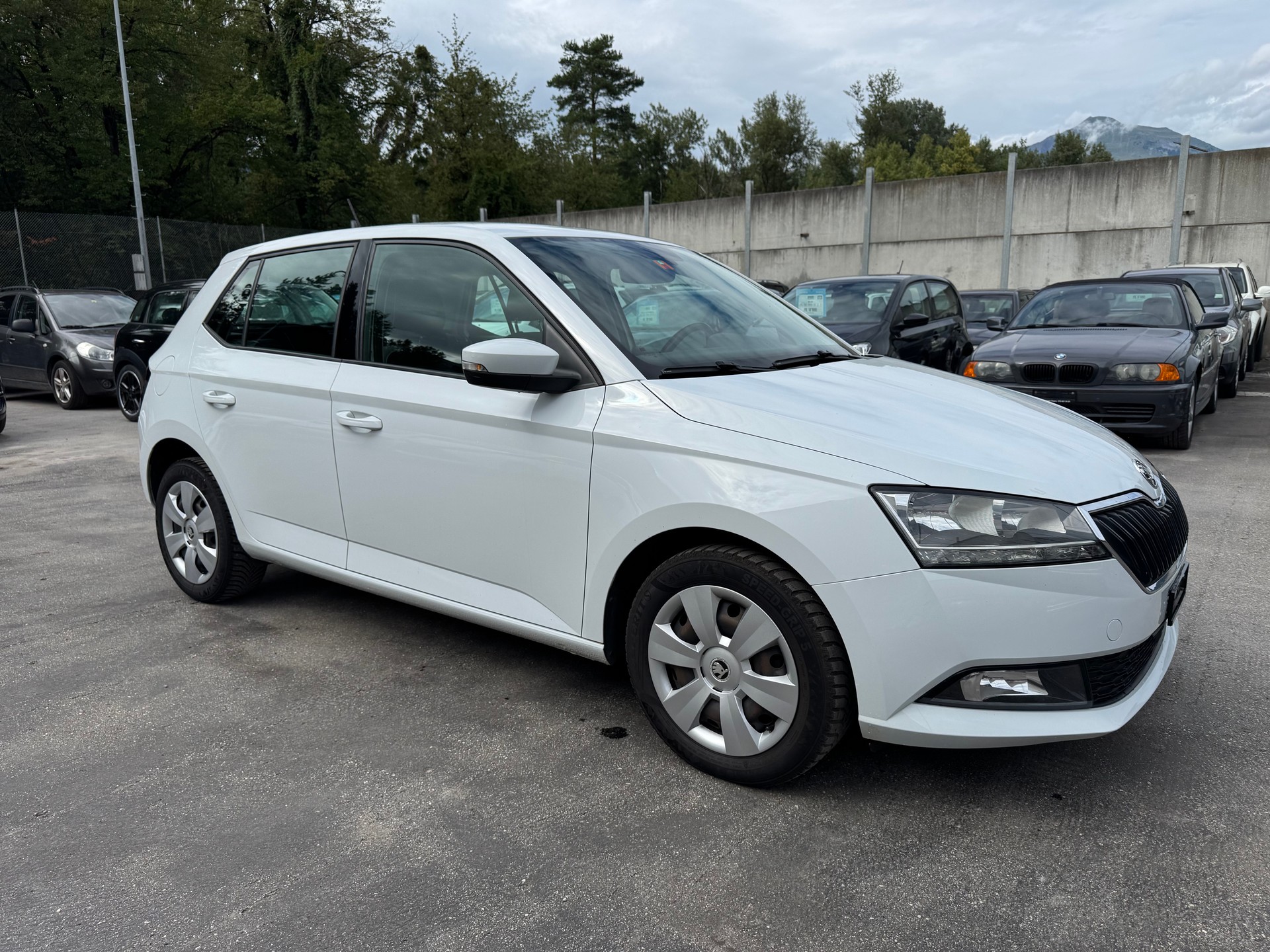 SKODA Fabia 1.0 TSI Ambition-image-1