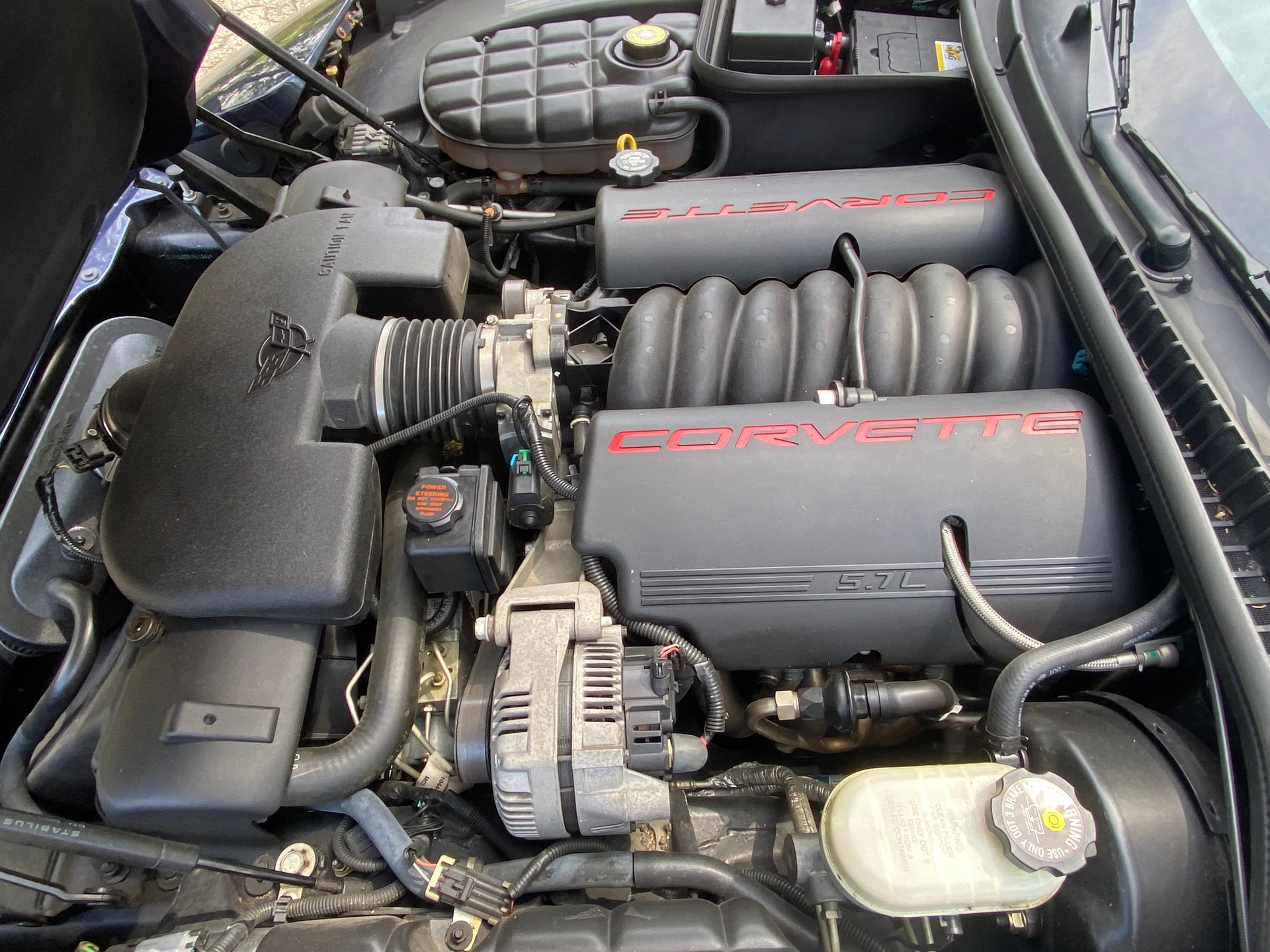 CHEVROLET C 5-image-8