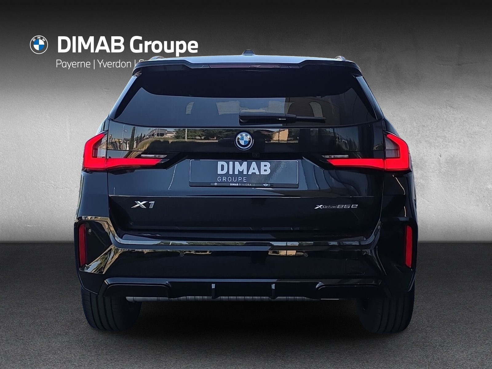BMW X1 xDrive 25e M Sport-showroom-element-3