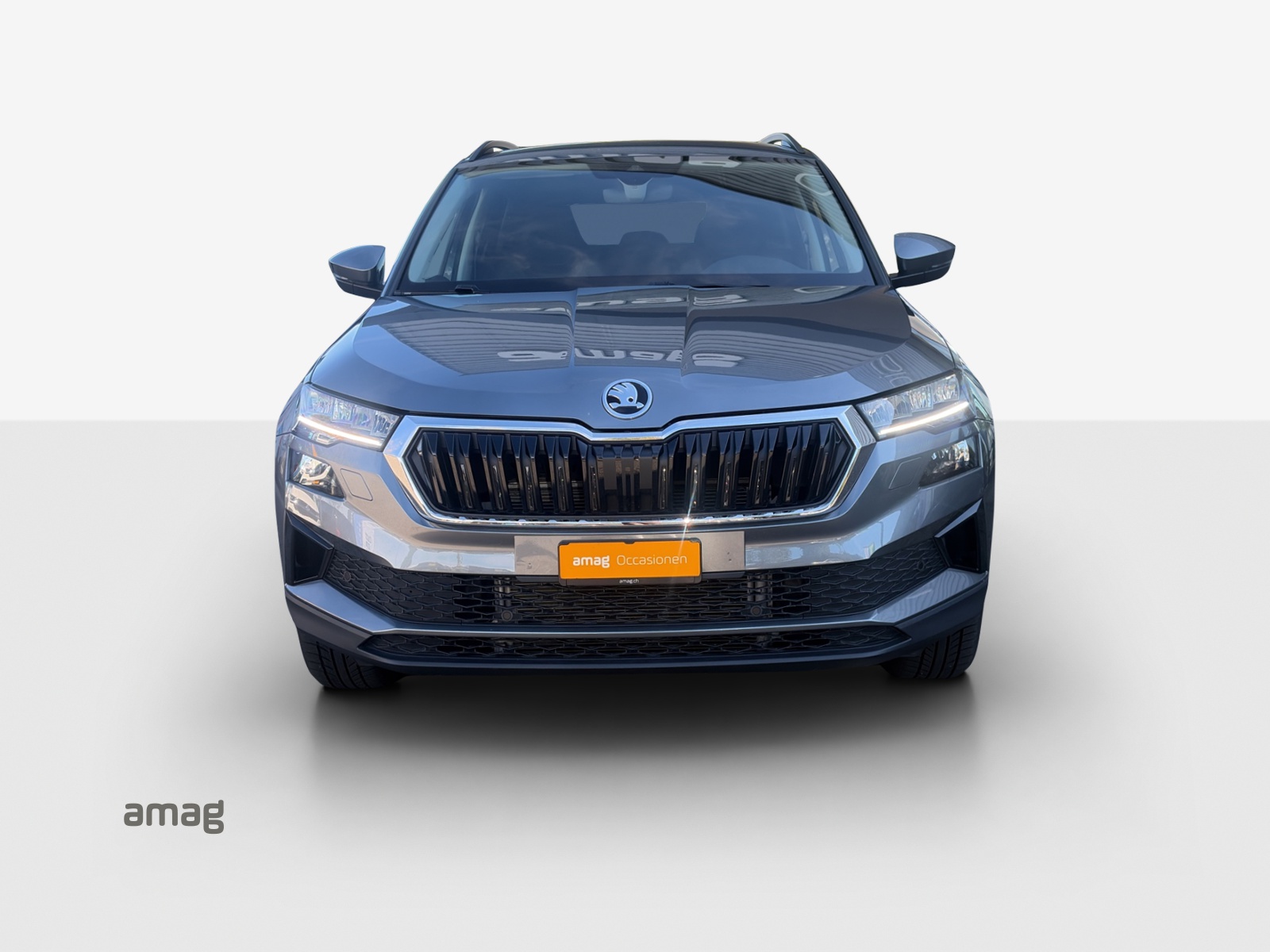 SKODA Karoq 1.5 TSI Ambition DSG-image-6