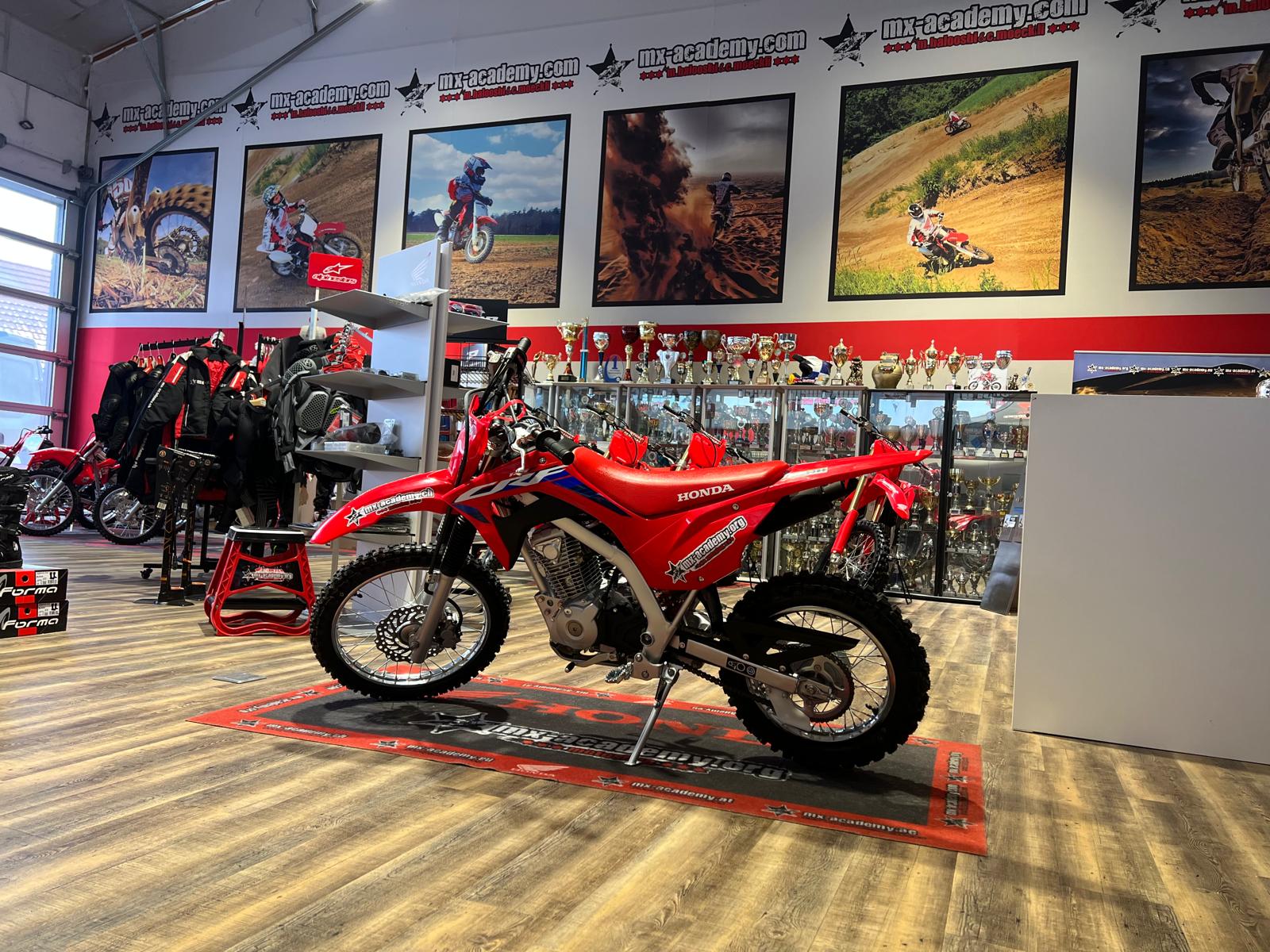HONDA ** Honda CRF125F ** Neufahrzeug-image-0