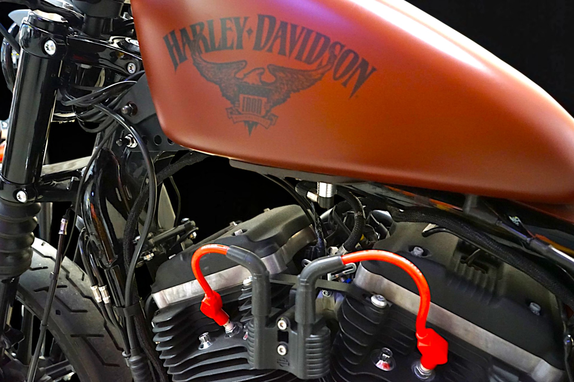 HARLEY-DAVIDSON XL 883 N Sportster Iron ABS-image-6