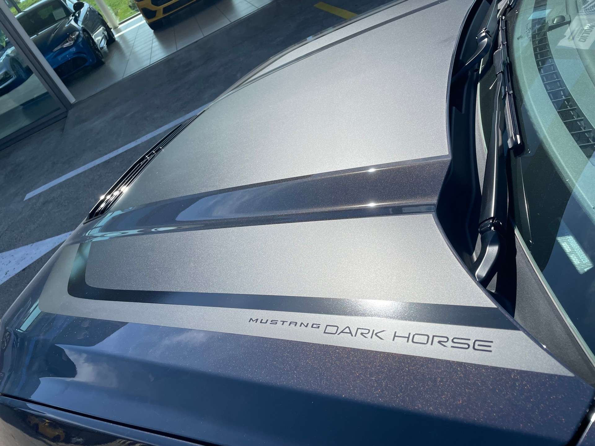 FORD Mustang Fastback 5.0 V8 Dark Horse-image-8