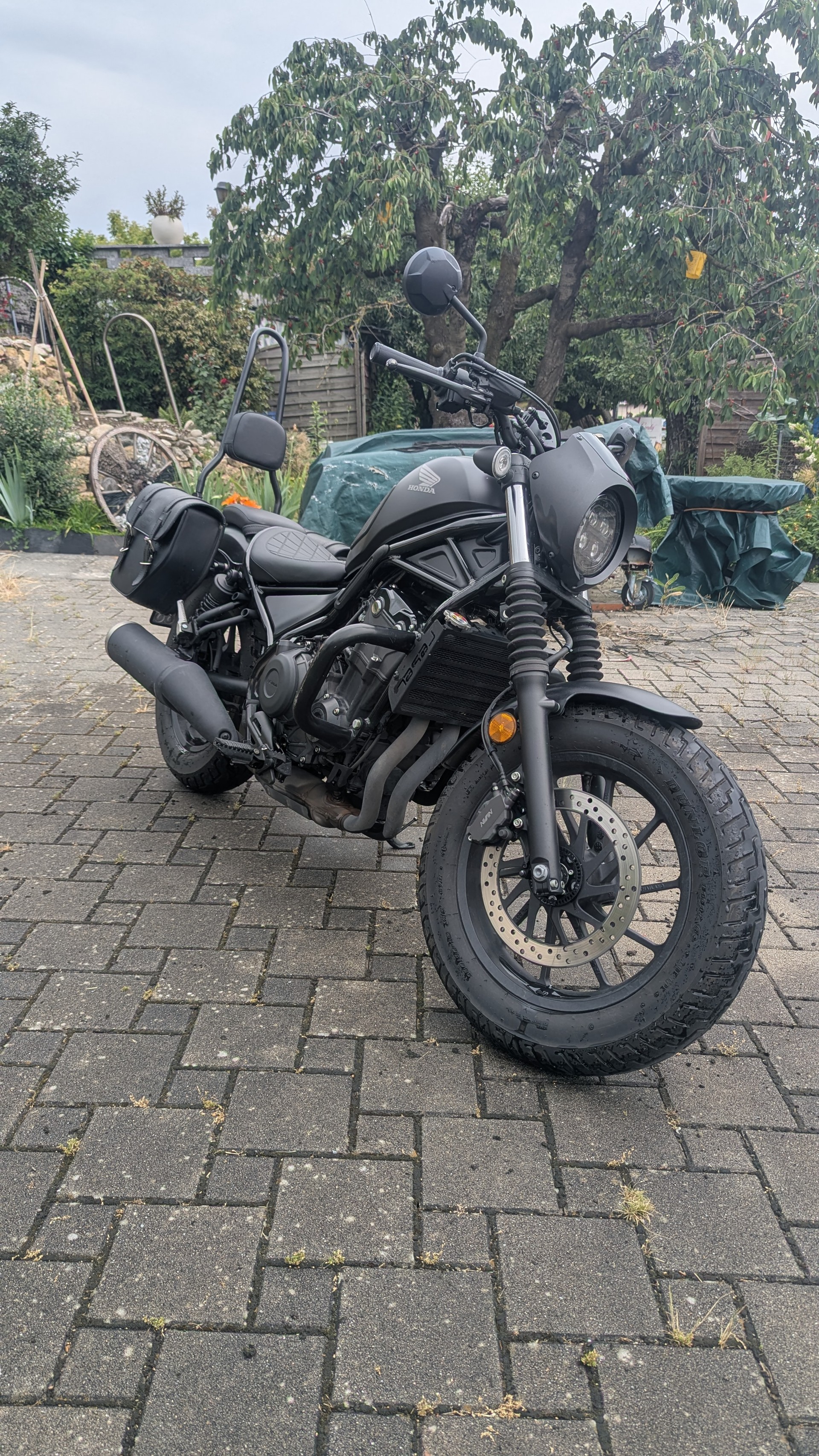 HONDA CMX500 SE Rebel S Edition-image-9