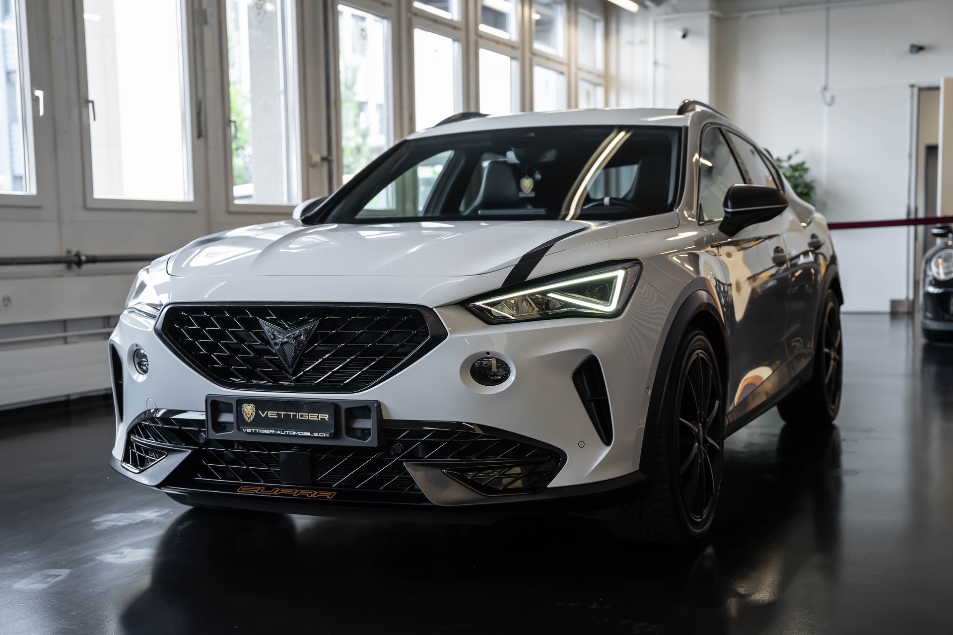 CUPRA Formentor 2.0TSI VZ 4Drive DSG-showroom-element-2