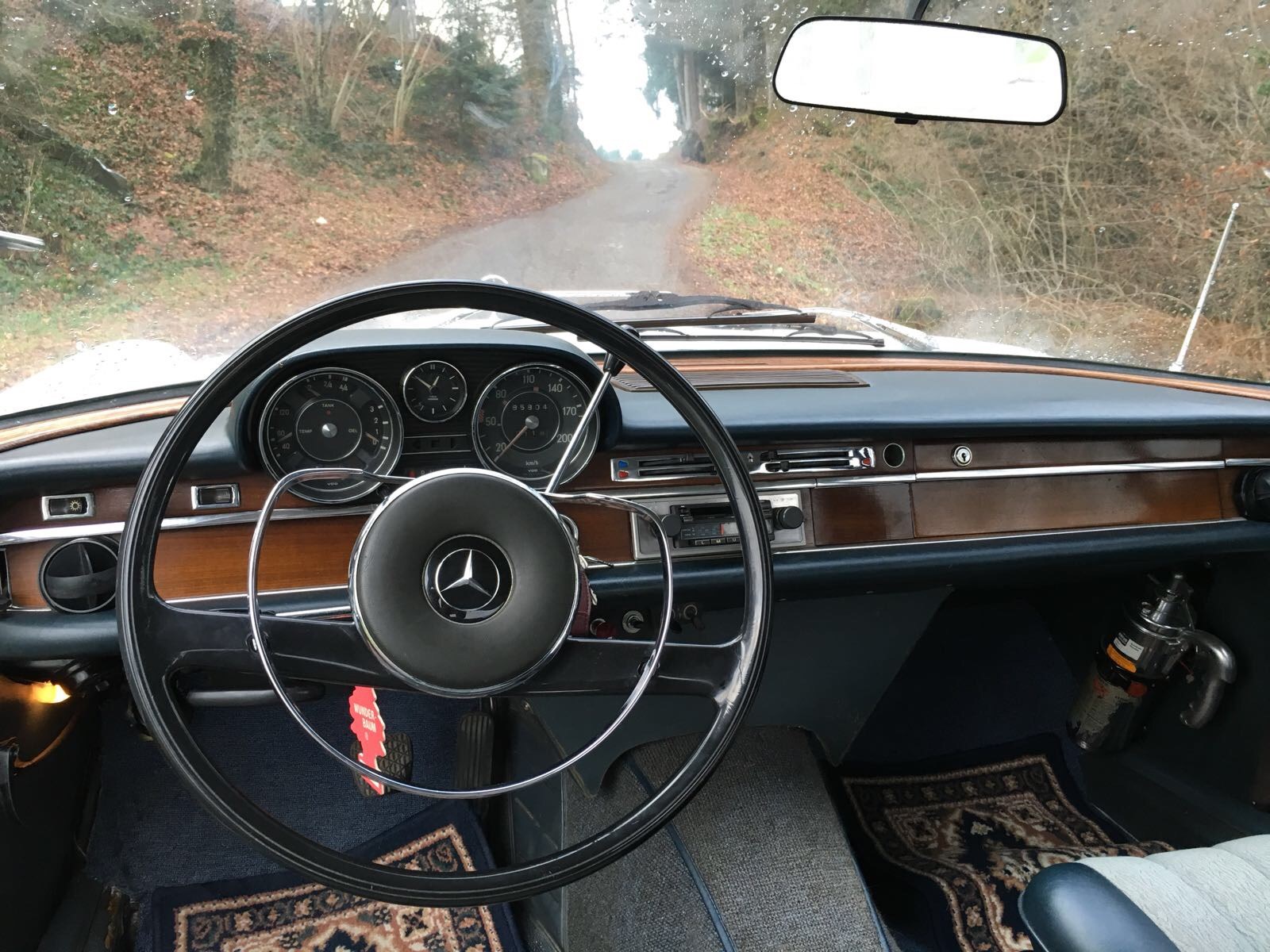 MERCEDES-BENZ 250 SE 250 Automatic-image-5