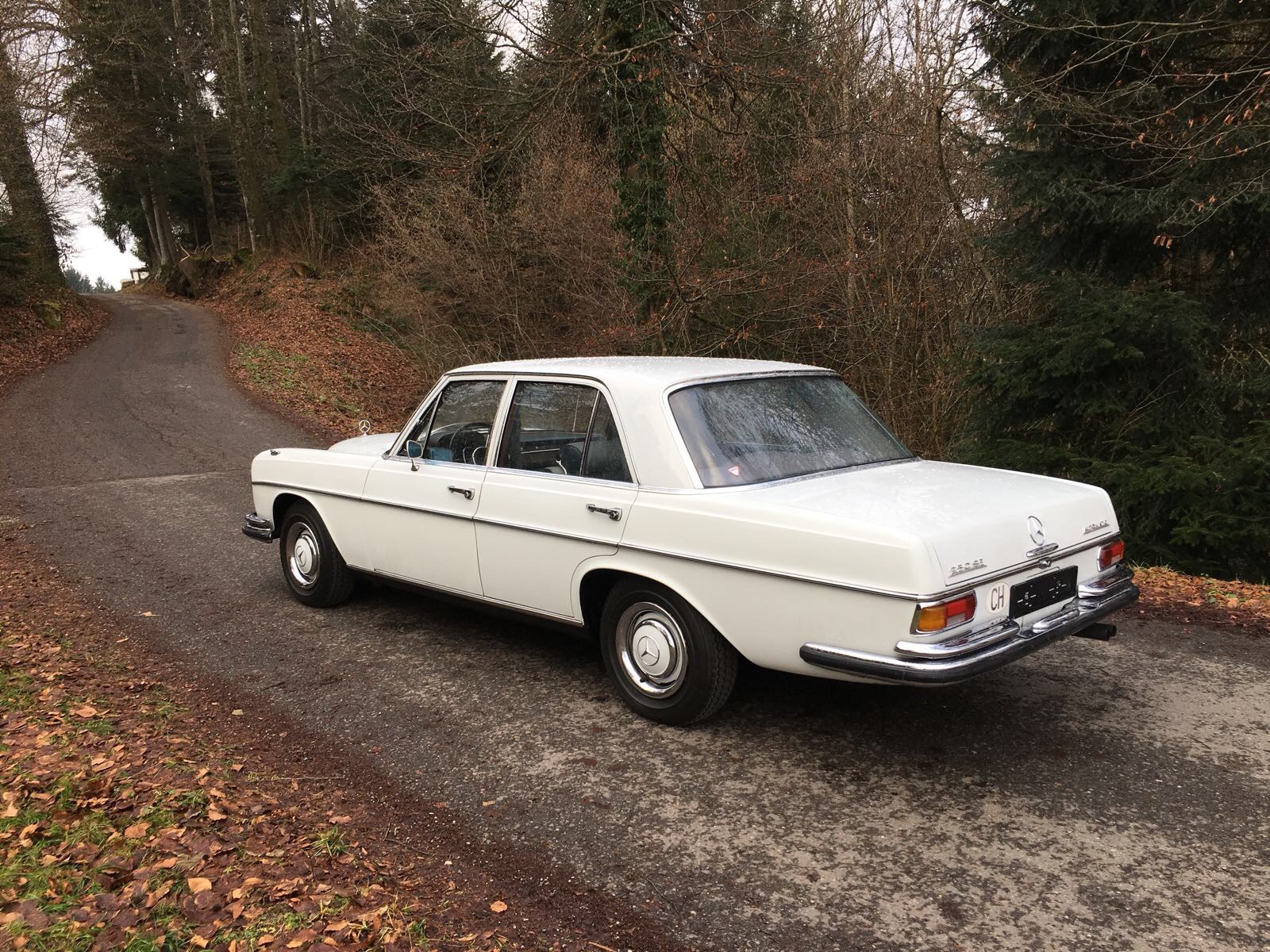MERCEDES-BENZ 250 SE 250 Automatic-image-1