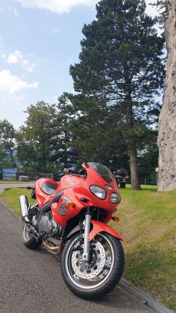 TRIUMPH Sprint RS 955i-image-1