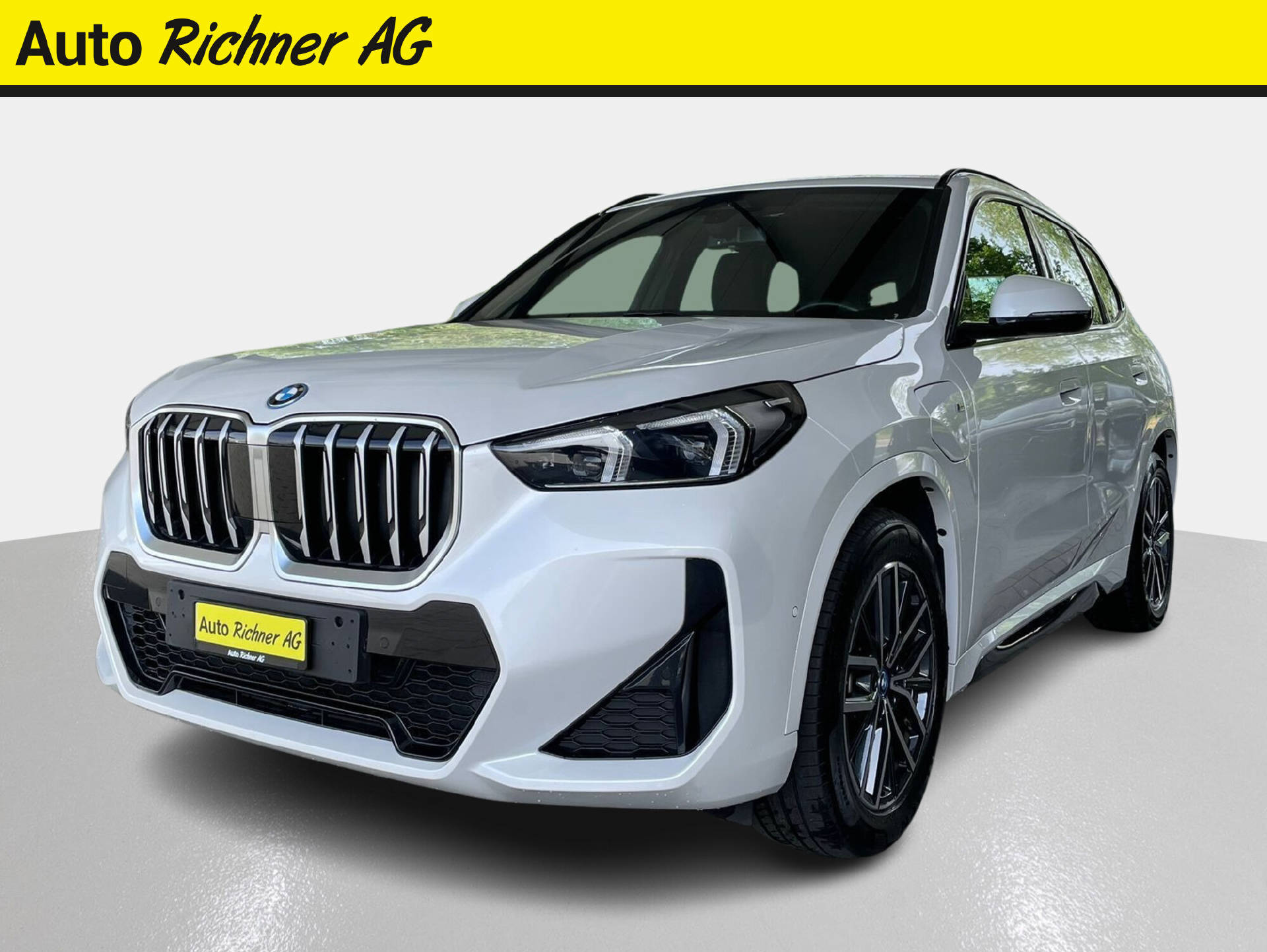 BMW X1 25e xDrive paddles-showroom-element-1