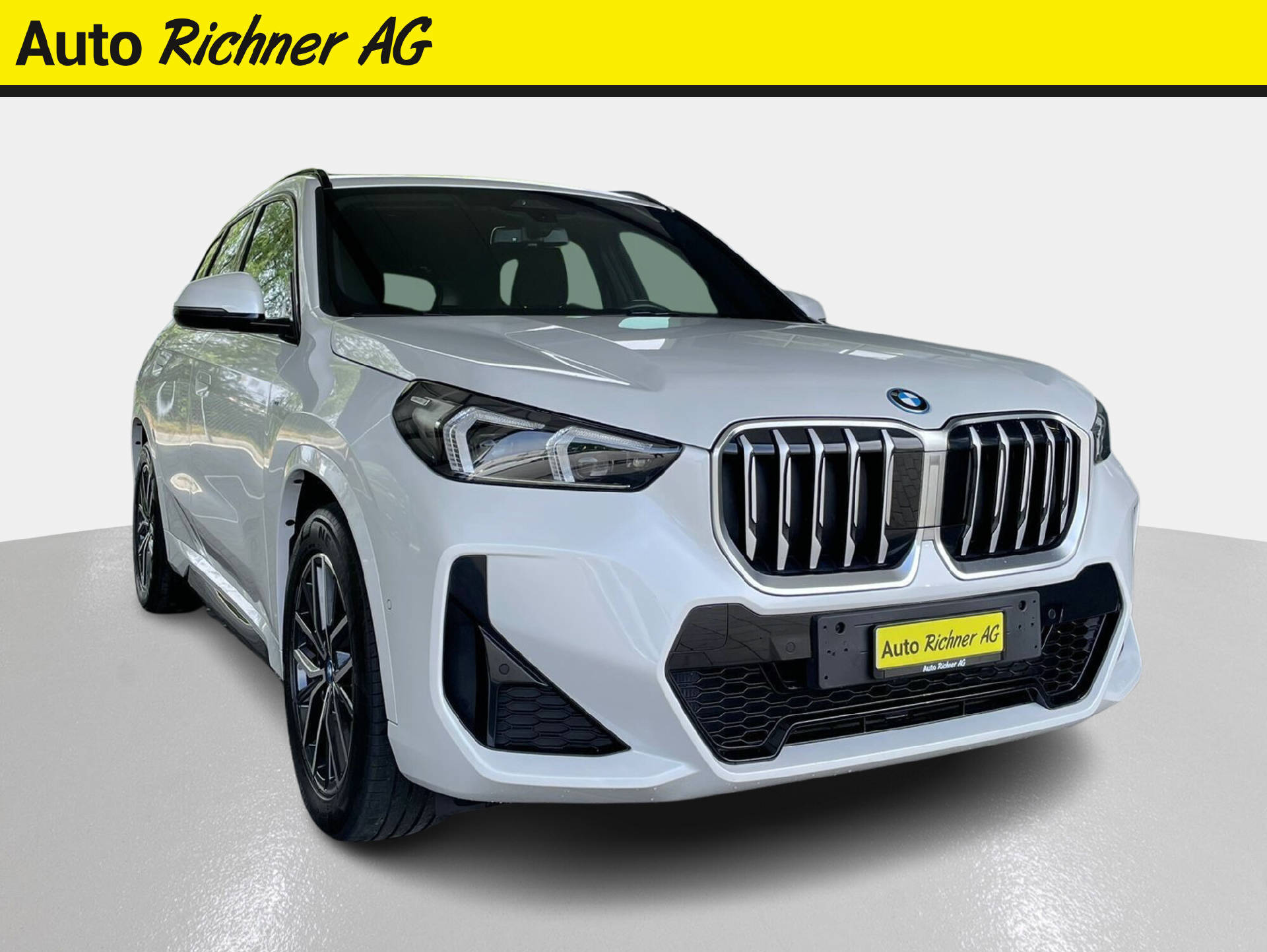 BMW X1 25e xDrive paddles