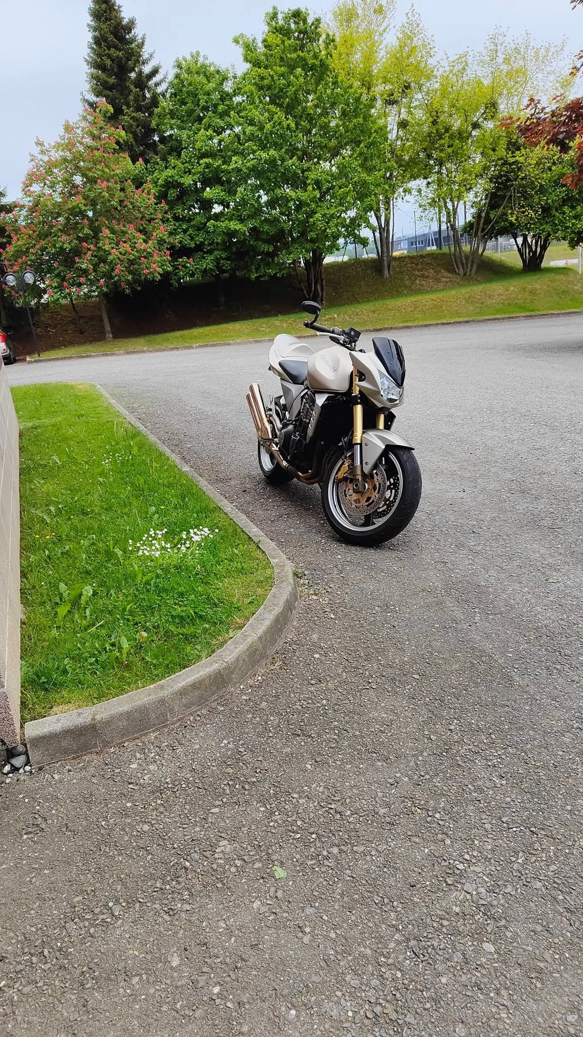 KAWASAKI Z 1000-image-1