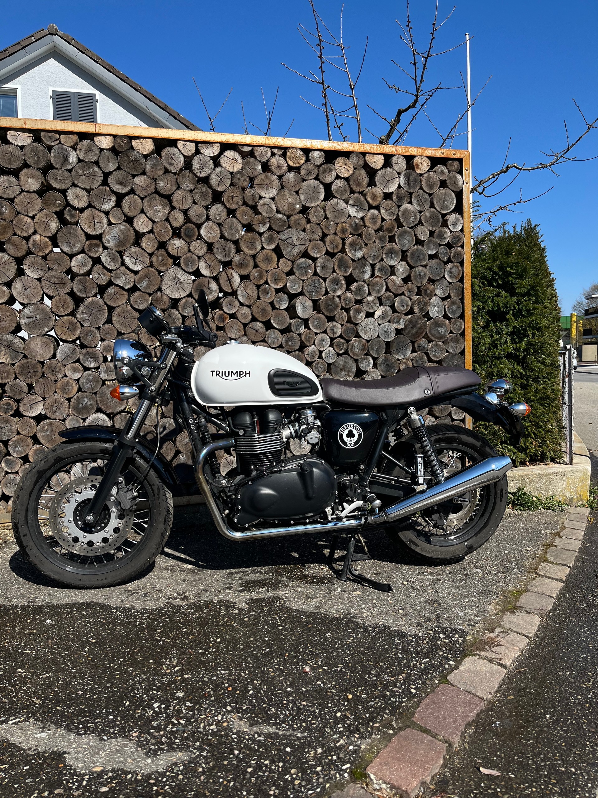 TRIUMPH Thruxton 900 i ACE-image-4