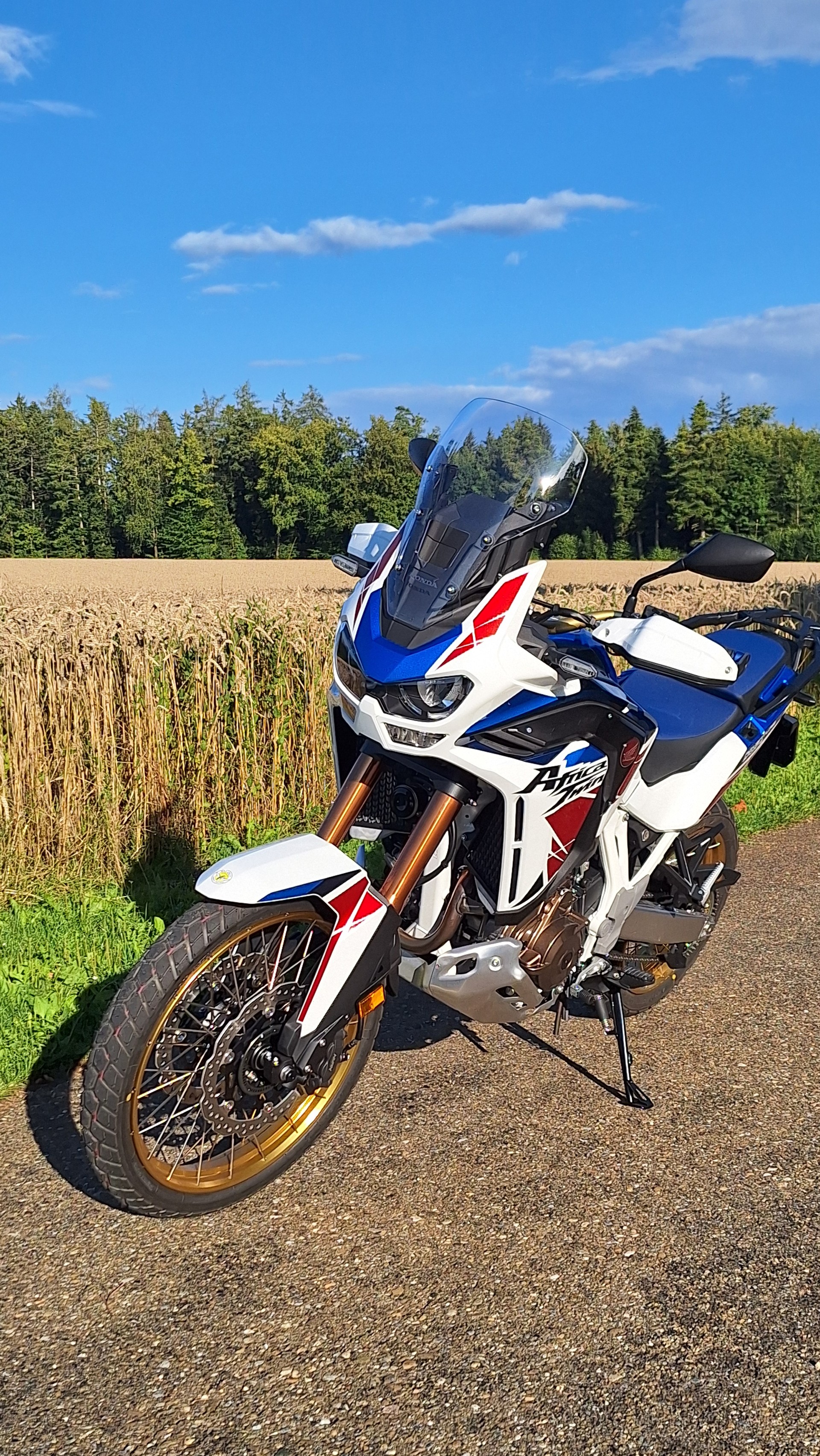 HONDA CRF 1100 AfriCa Twin Adventure-image-7