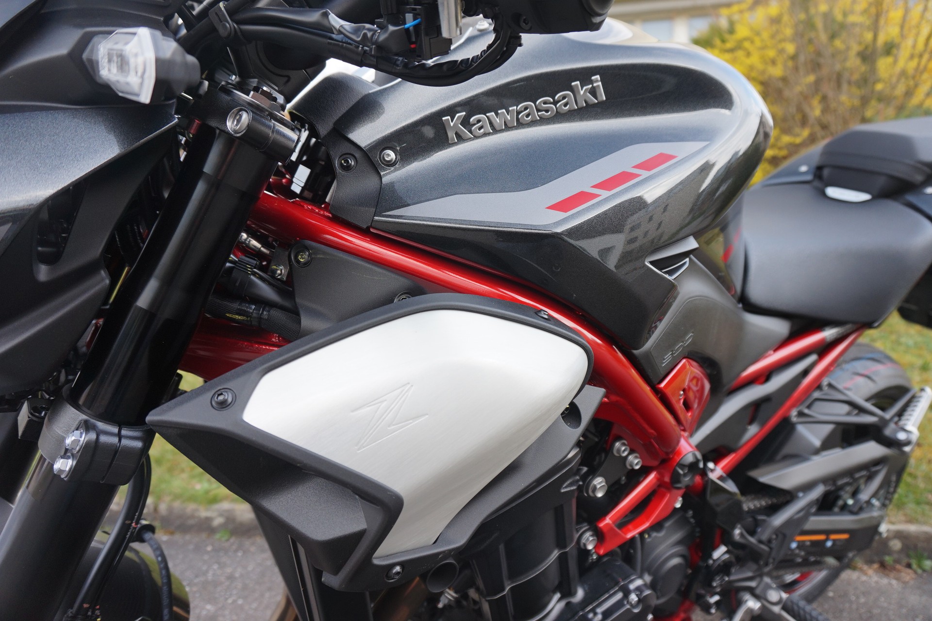 KAWASAKI Z 900 ABS (35kW) MY25-image-9